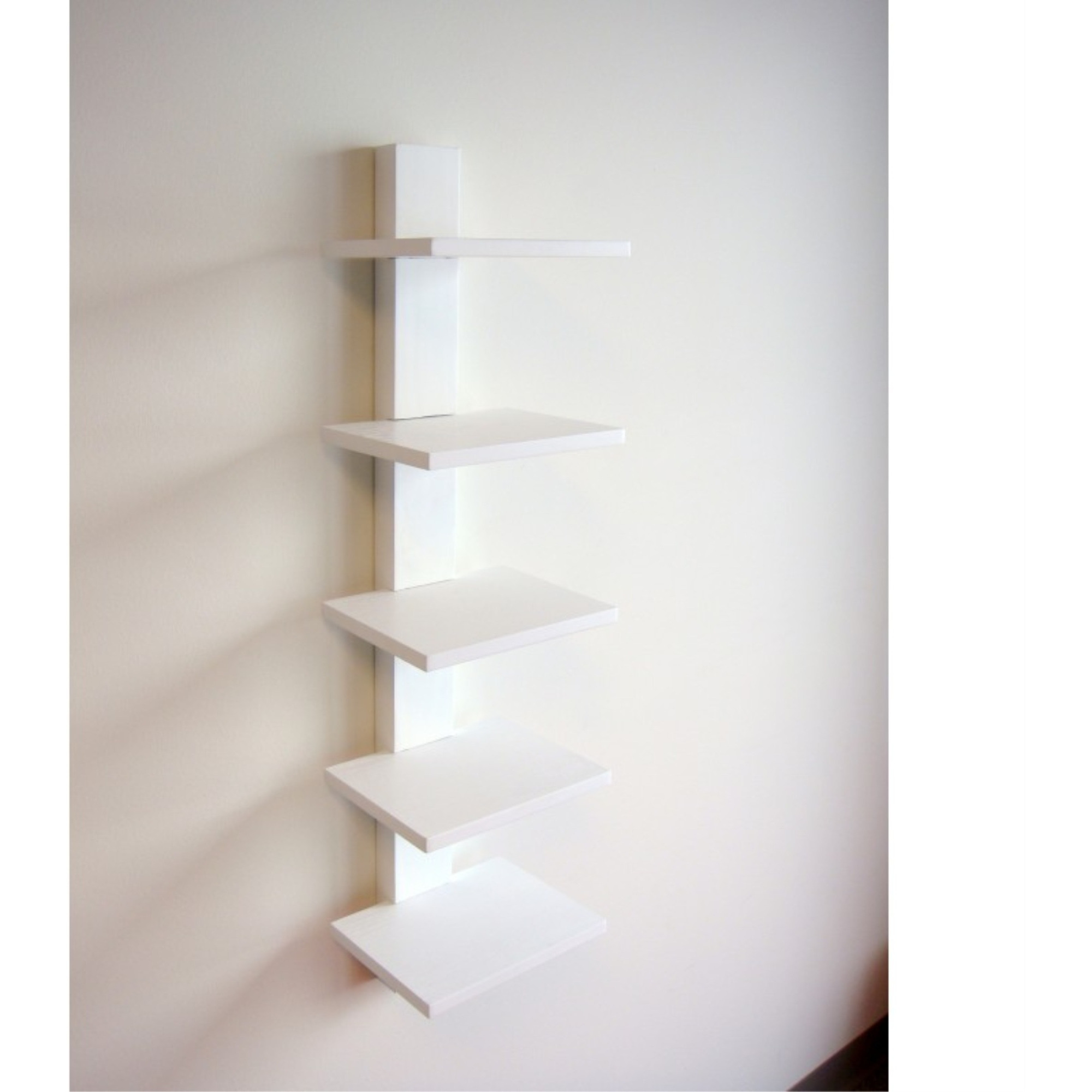 Spine Book Shelf