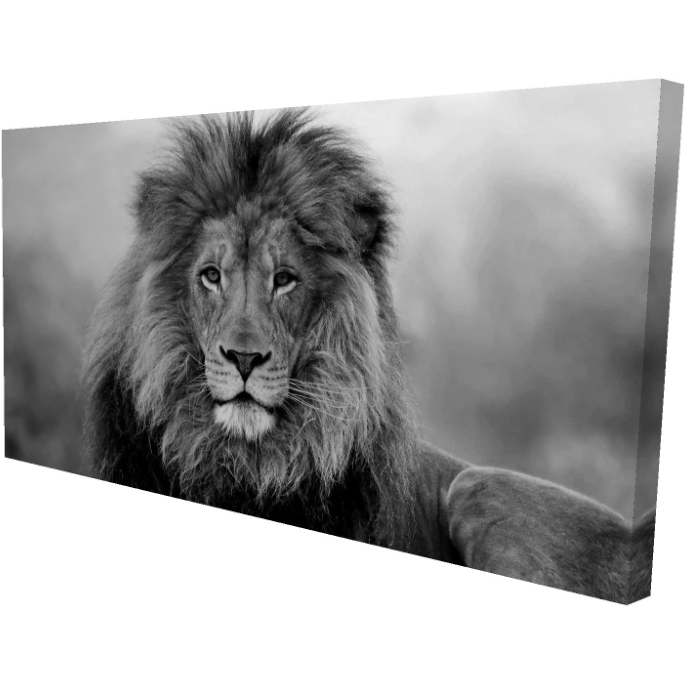 Black And White Lion - Print on canvas by Begin Edition