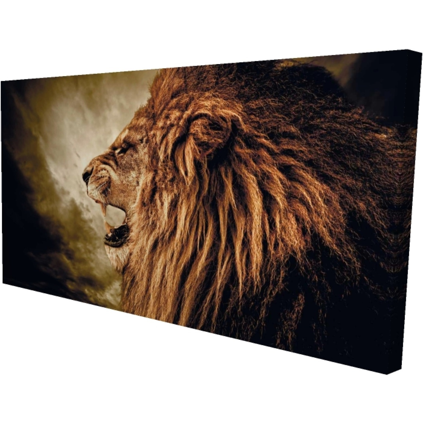 Fierce Lion - Limited Edition - Print on canvas by Begin Edition