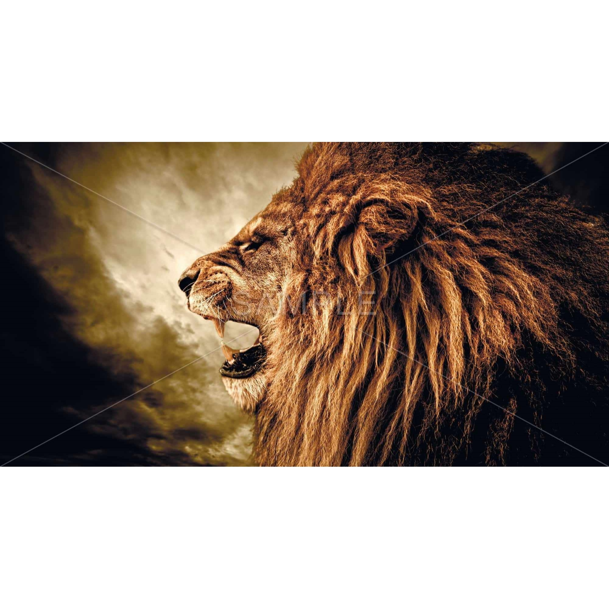 Fierce Lion - Limited Edition - Framed Print on canvas by Begin Edition