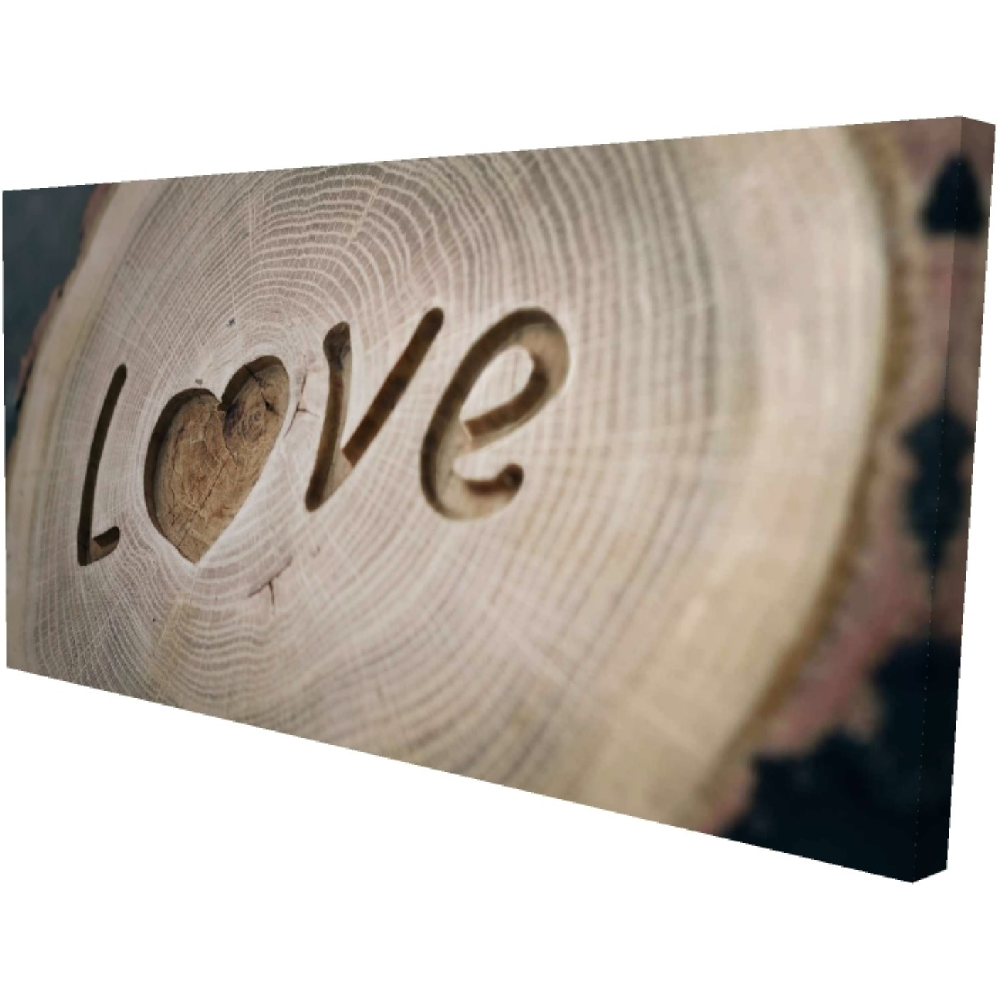 Love Tree Rings - Print on canvas by Begin Edition