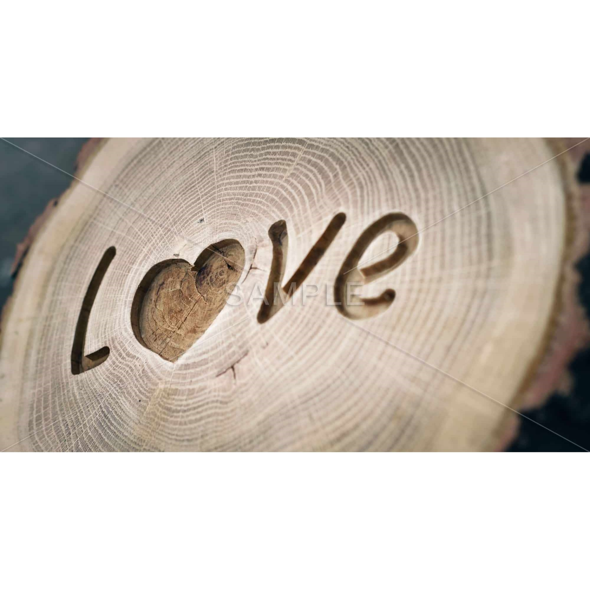 Love Tree Rings - Print on canvas by Begin Edition