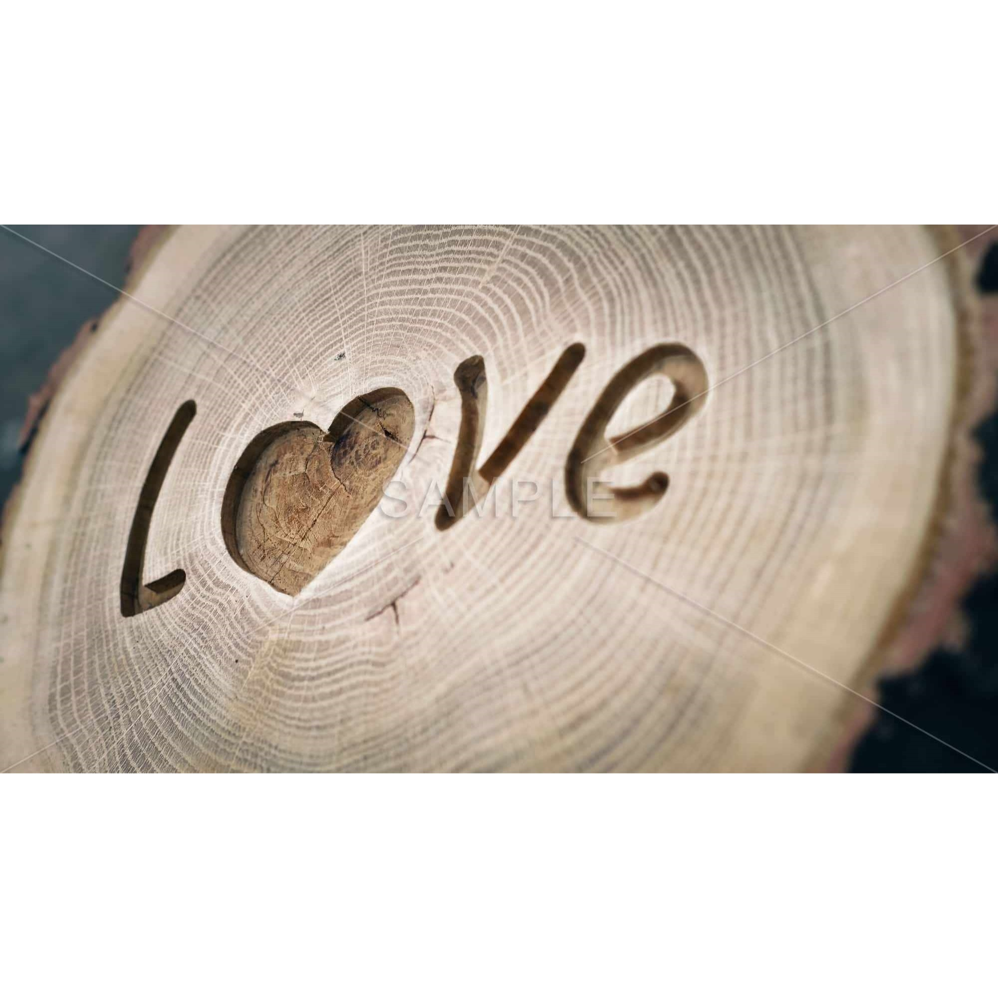 Love Tree Rings - Framed Print on canvas by Begin Edition