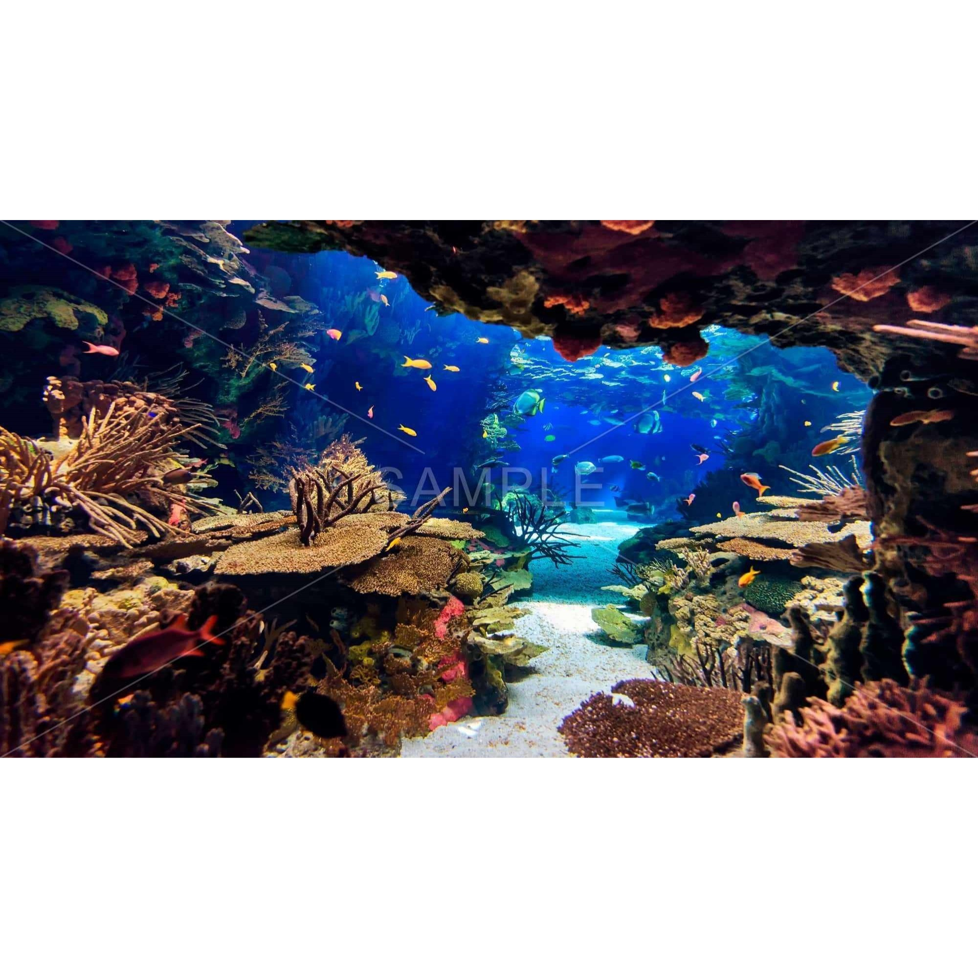 Undersea World - Framed Print on canvas by Begin Edition