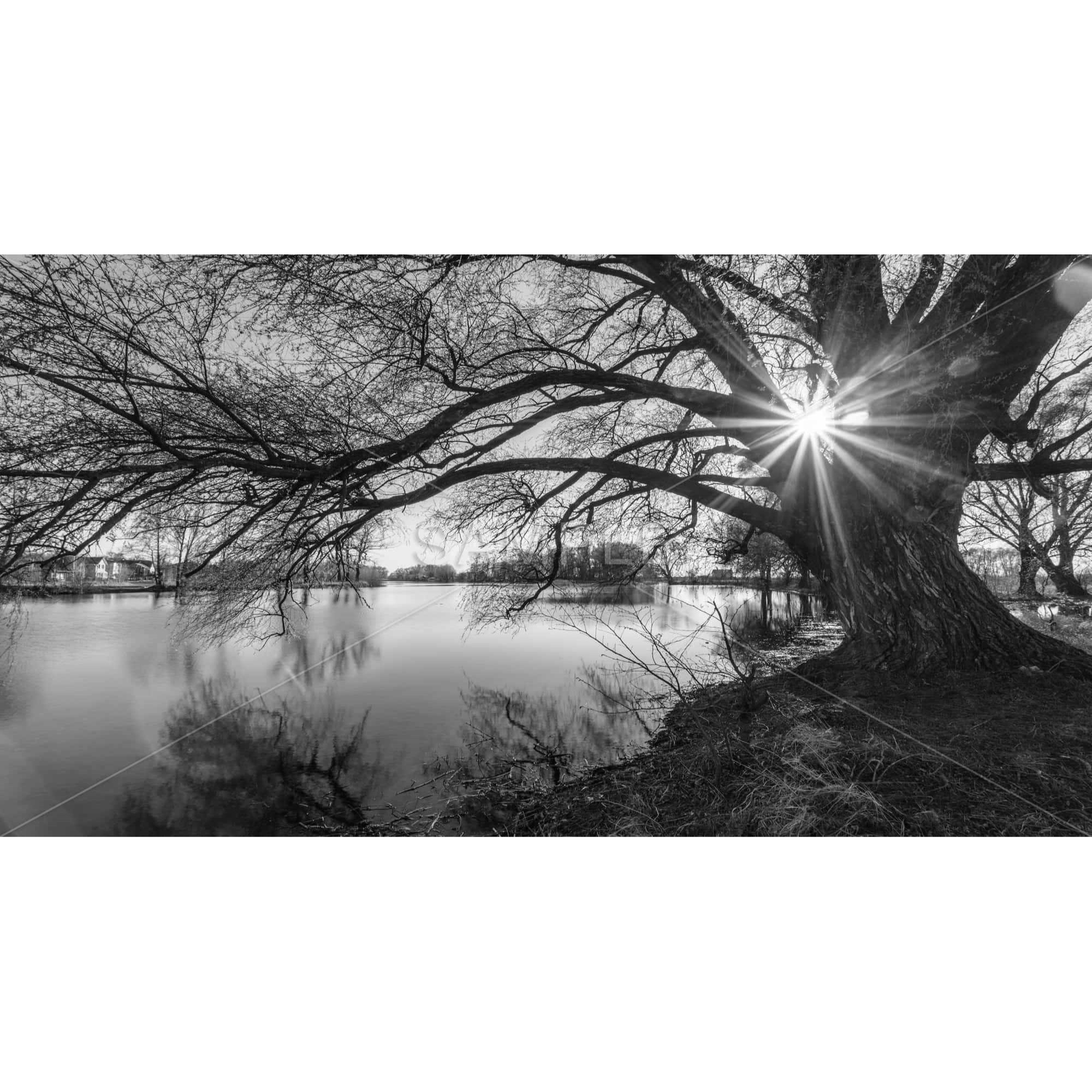 Black & White Lake - Framed Print on canvas by Begin Edition