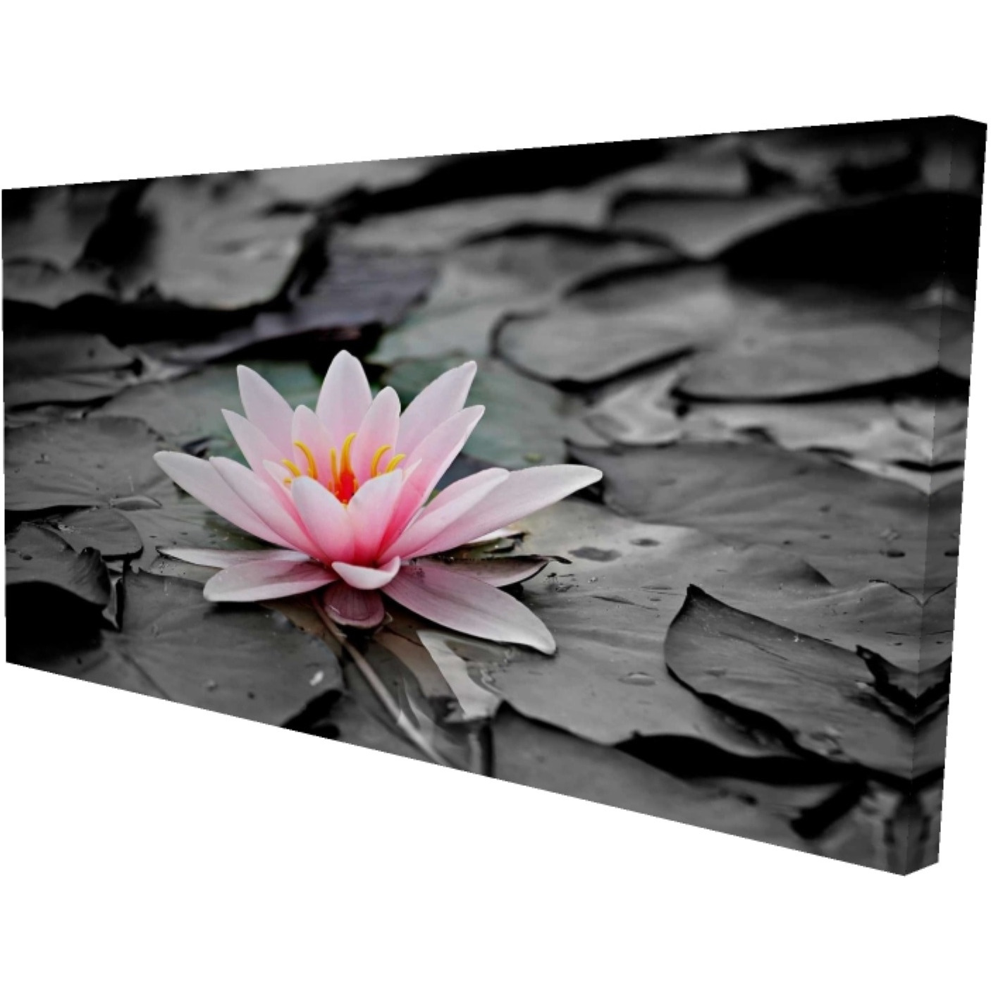 Water Lily - Print on canvas by Begin Edition