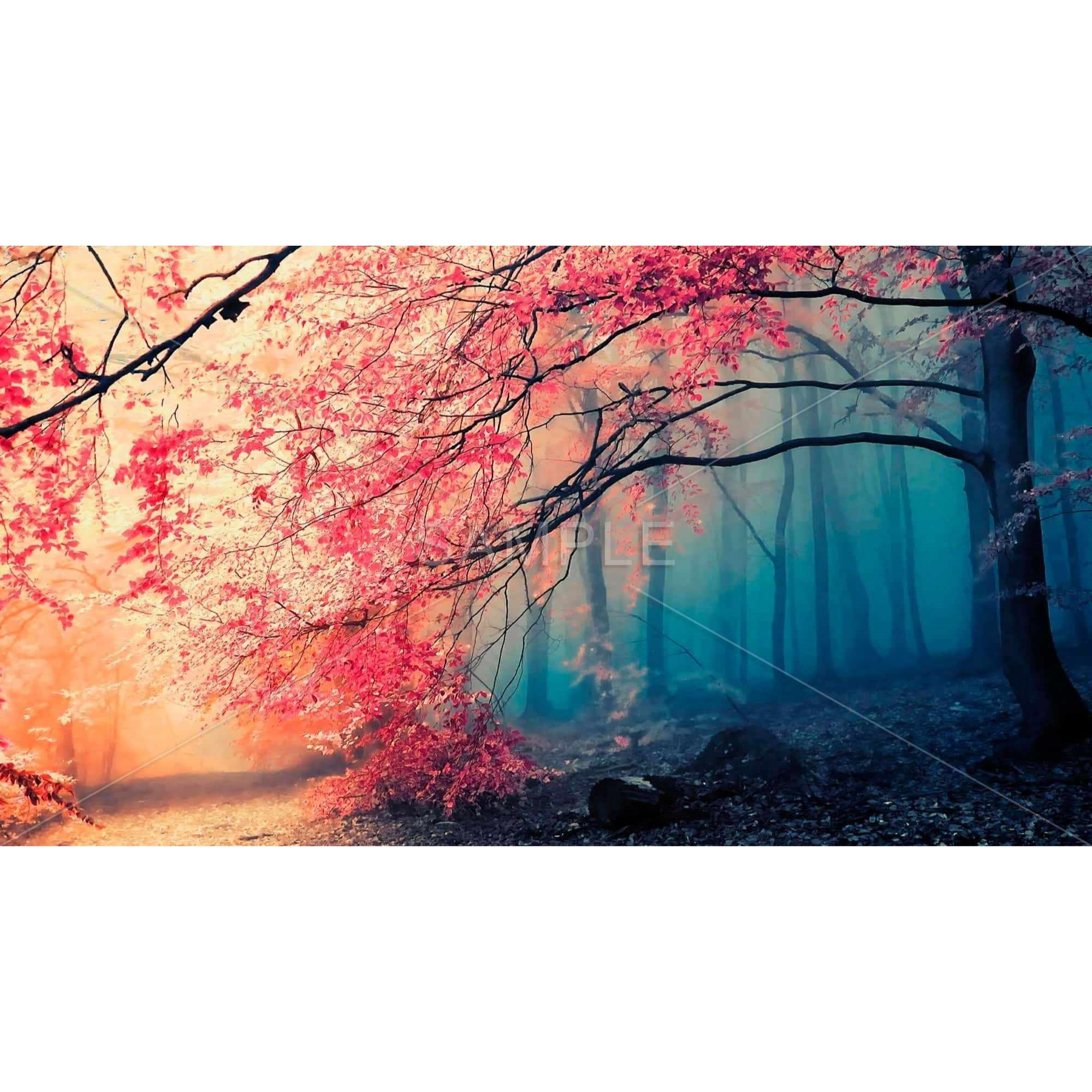 Eerie Forest - Framed Print on canvas by Begin Edition