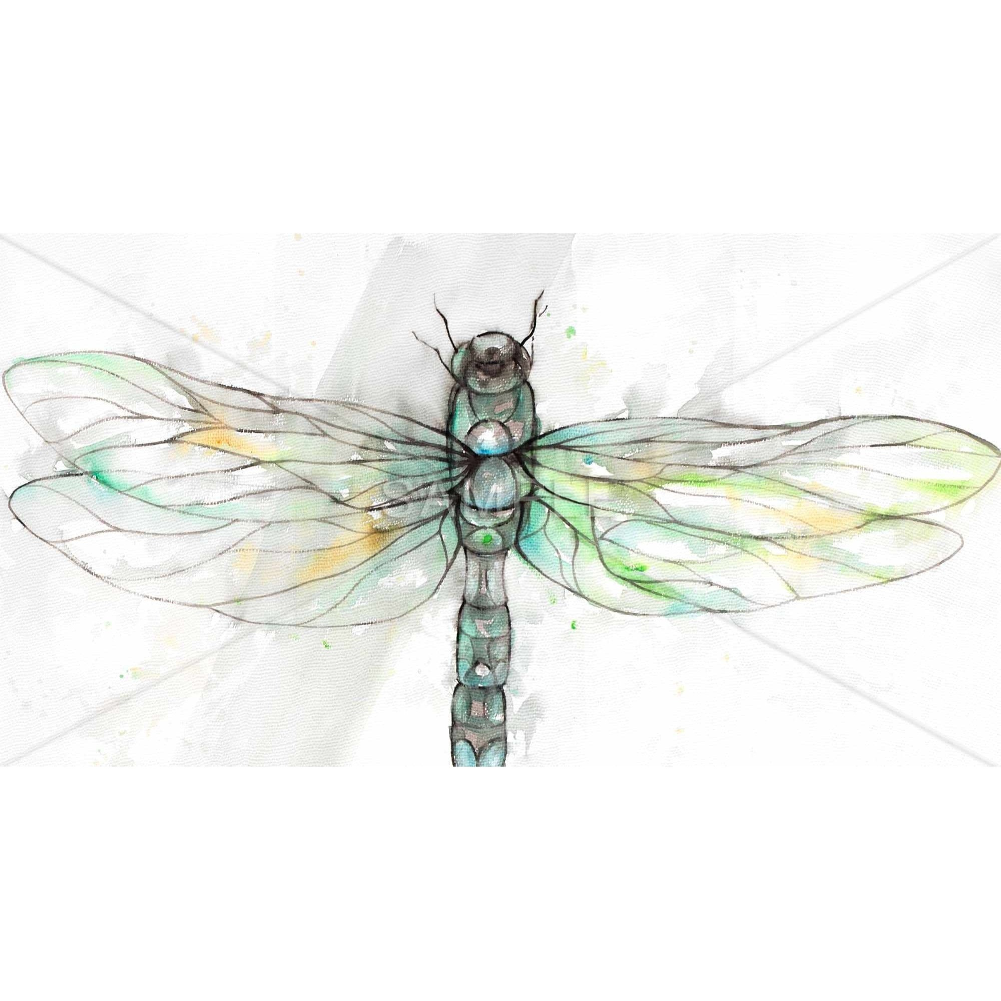 Dragonfly Illustration - Framed Print on canvas by Begin Edition
