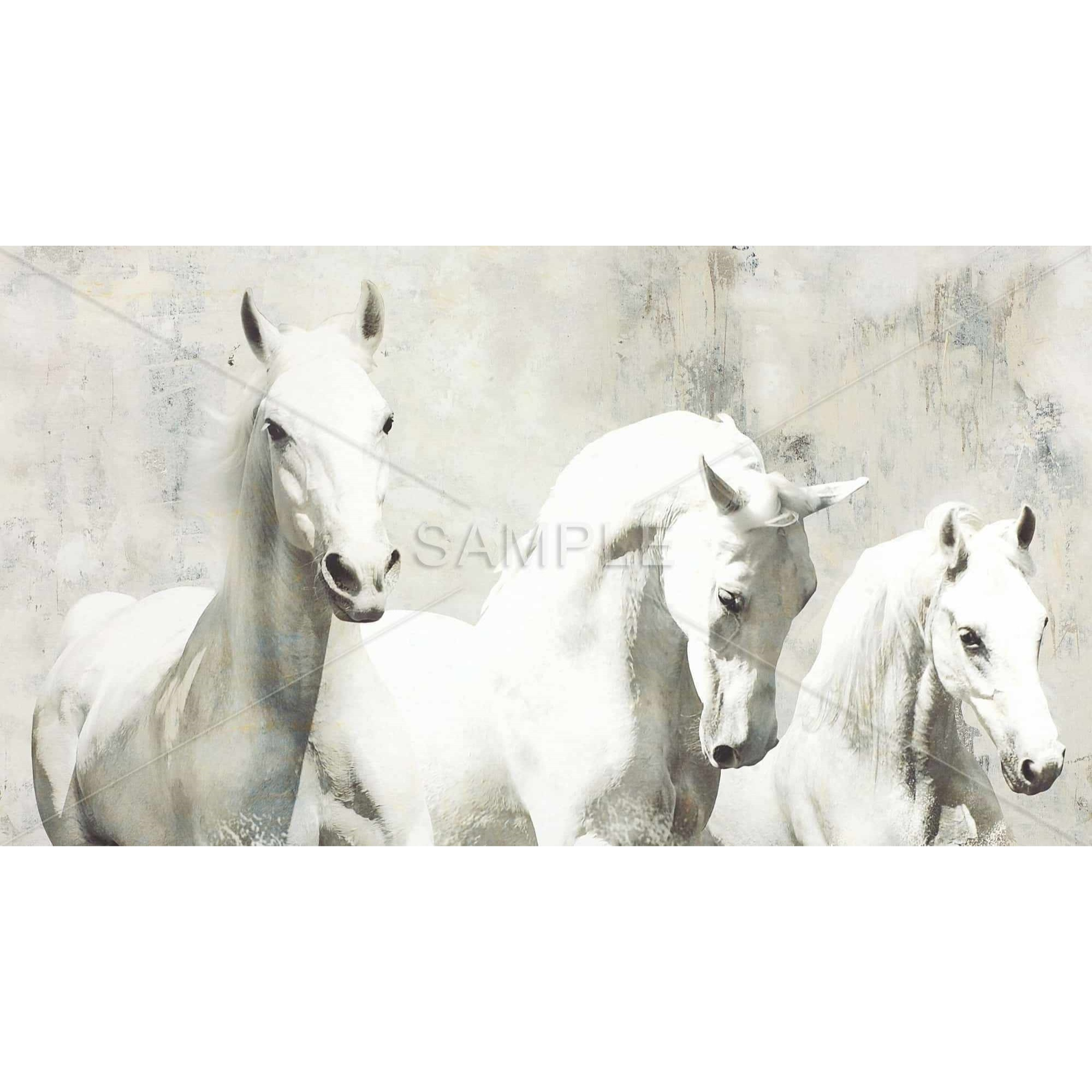 Three White Horses Running - Framed Print on canvas by Begin Edition