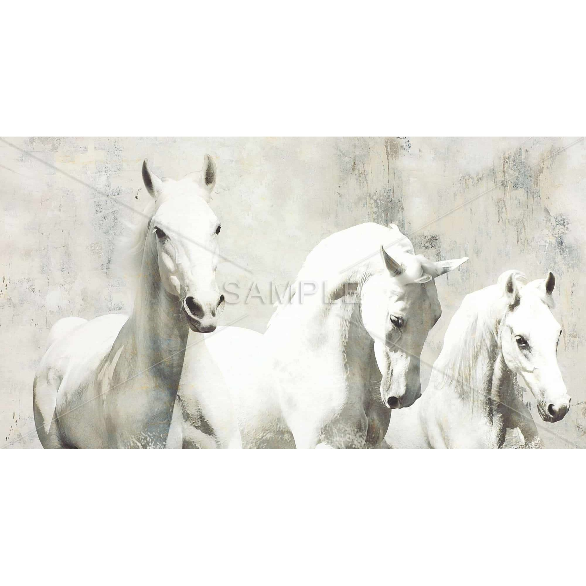 Three White Horses Running - Framed Print on canvas by Begin Edition