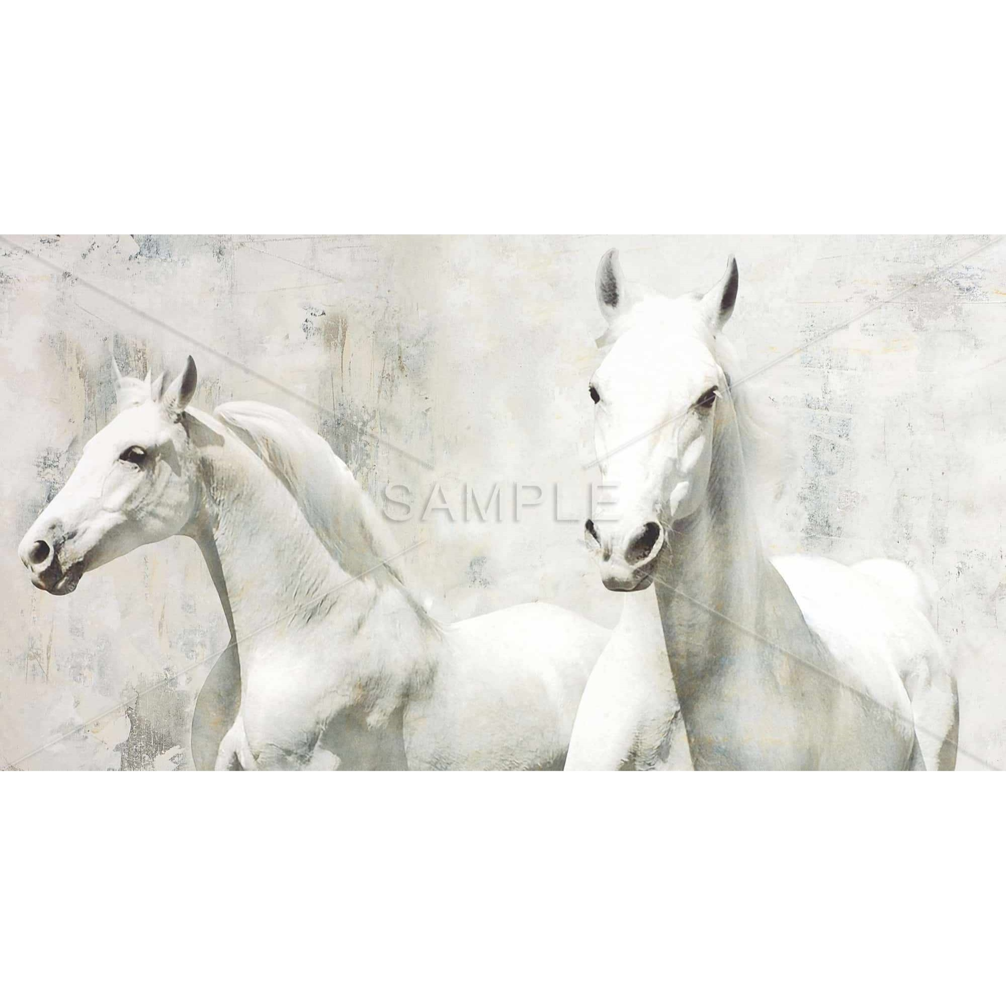 Two White Horse Running - Print on canvas by Begin Edition