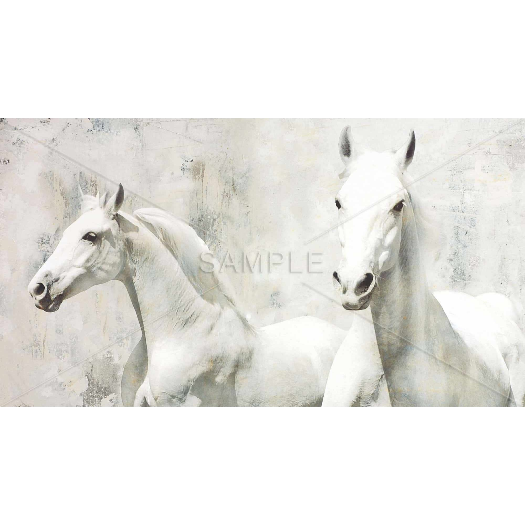 Two White Horse Running - Framed Print on canvas by Begin Edition