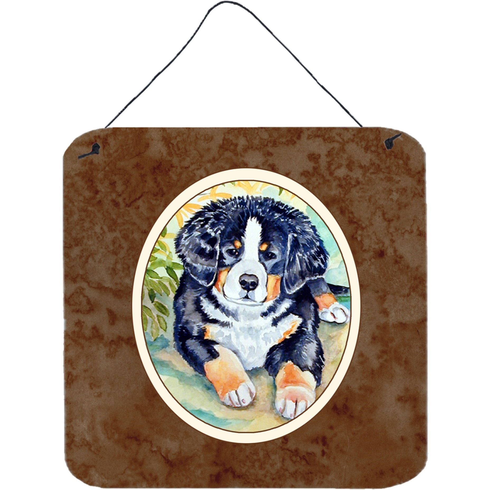 &quotCaroline's Treasures Bernese Mountain Dog Puppy Wall or Door Hanging Prints 7010DS66, 6"" x 6"", Multicolor"