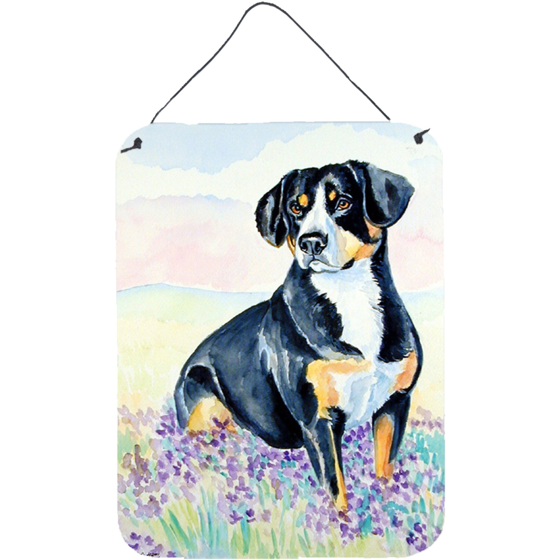 &quotCaroline's Treasures 7030DS1216 Entlebucher Mountain Dog Aluminium Metal Wall or Door Hanging Prints, 16"" x 12"", Multicolor"