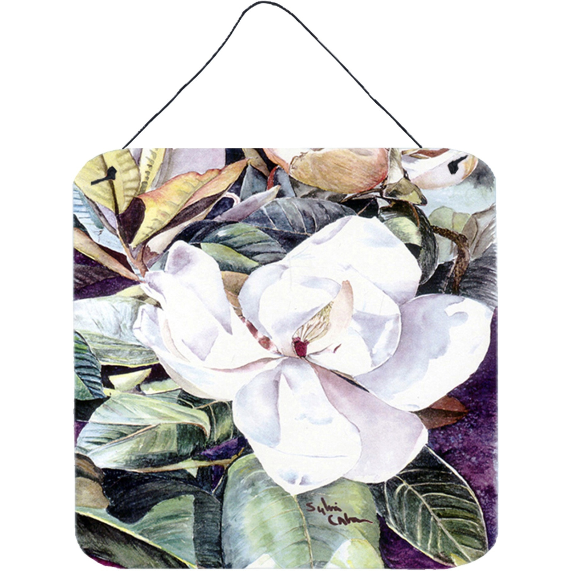 &quotCaroline's Treasures 8002DS66 Flower-Magnolia Aluminum Metal Wall or Door Hanging Prints, 6 x 6"", Multicolor"