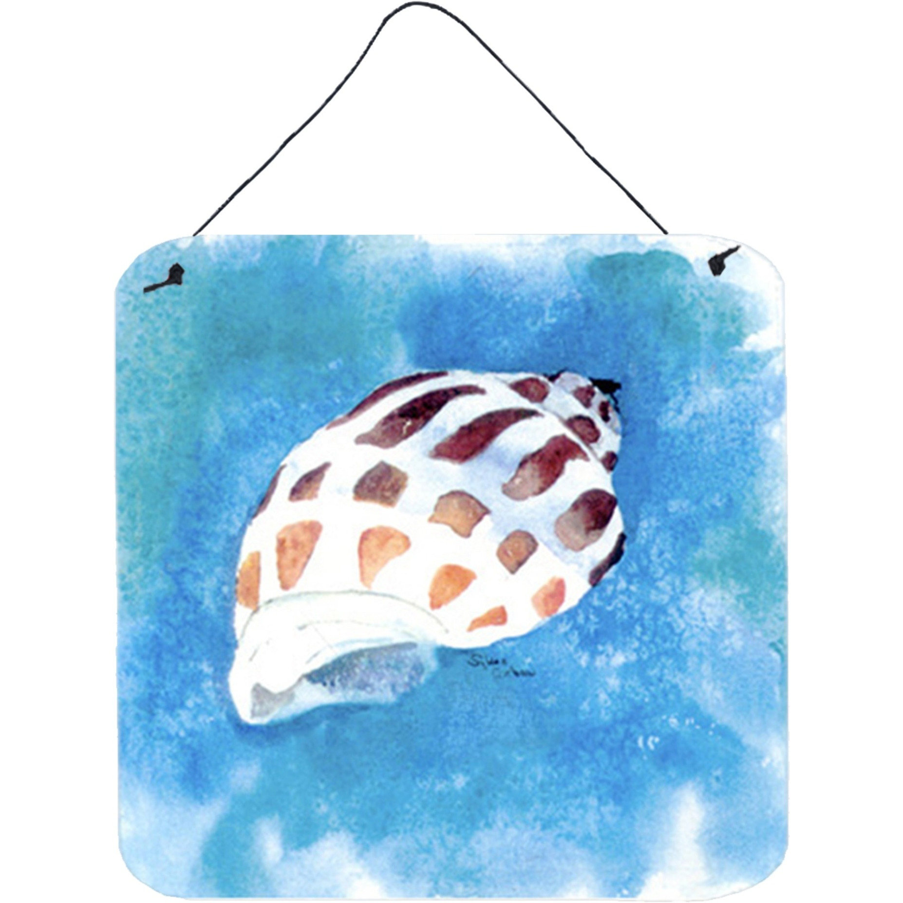 &quotCaroline's Treasures 8010DS66 Shells Aluminum Metal Wall or Door Hanging Prints, 6 x 6"", Multicolor"