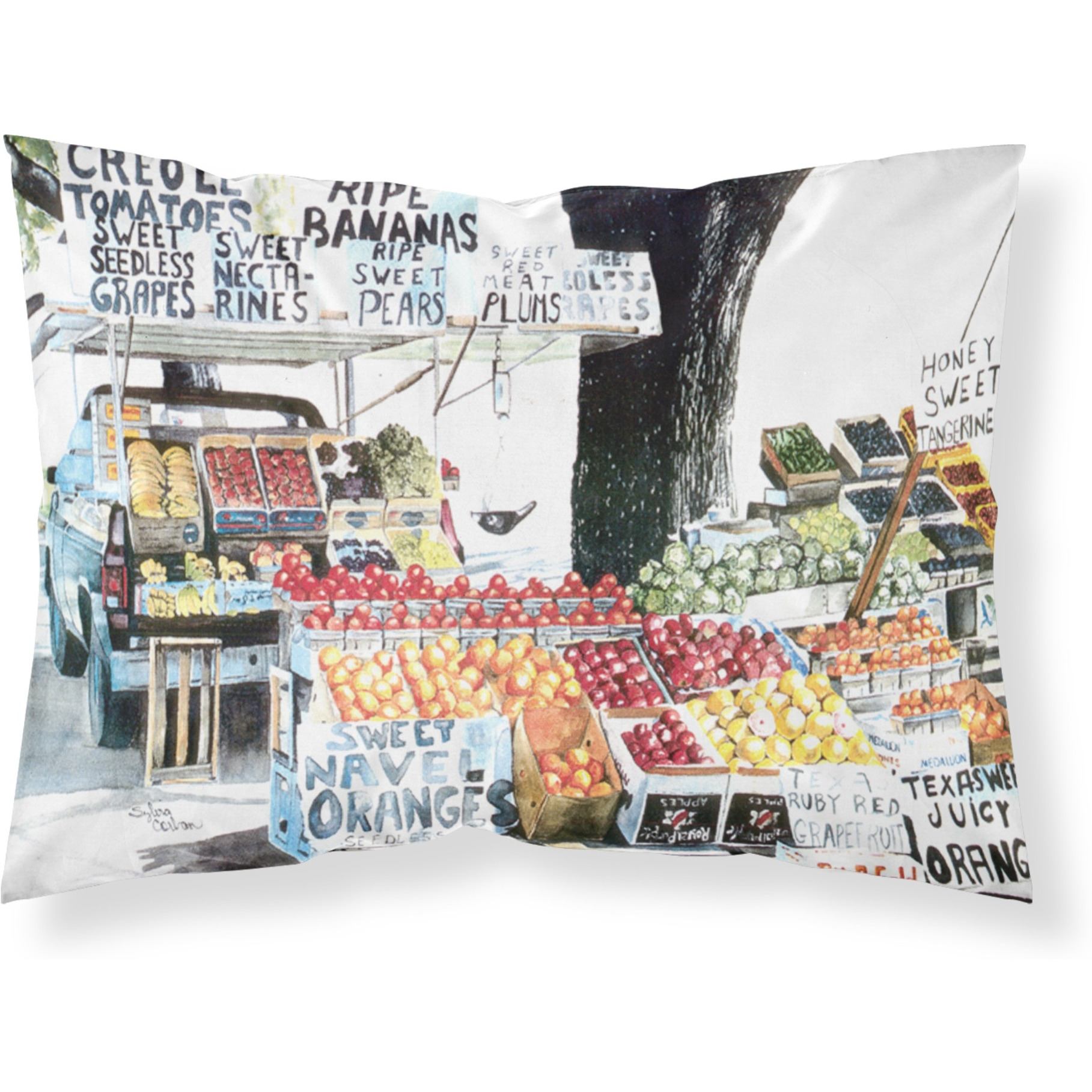 &quotCaroline's Treasures 8054PILLOWCASE Fruit Stand Moisture Wicking Fabric Standard Pillowcase, Large, Multicolor"