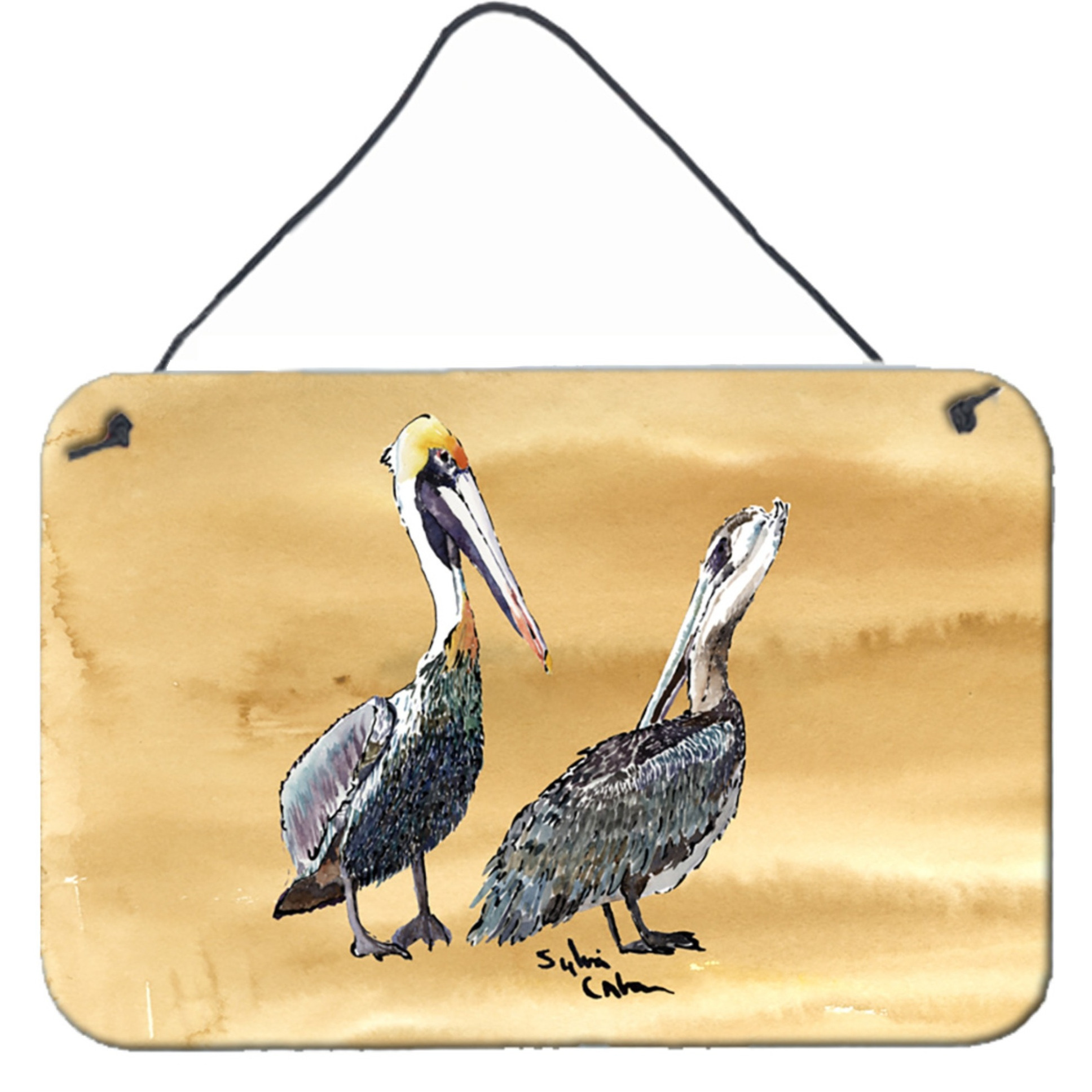 &quotCaroline's Treasures 8408DS812 Pelican Indoor or Aluminum Metal Wall or Door Hanging Prints, 8 x 12"", Multicolor"