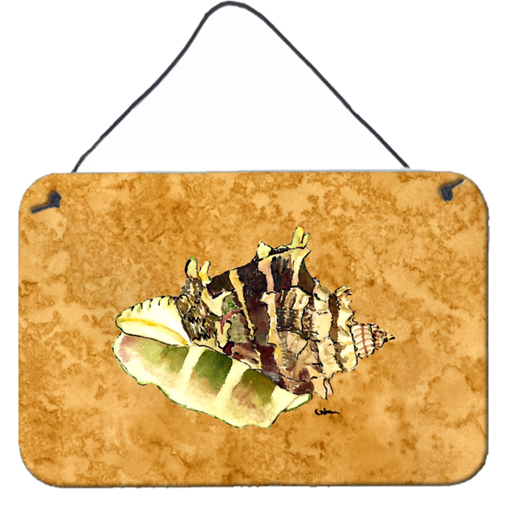 &quotCaroline's Treasures Shell Aluminum Metal Wall or Door Hanging Prints, 8 x 12"""