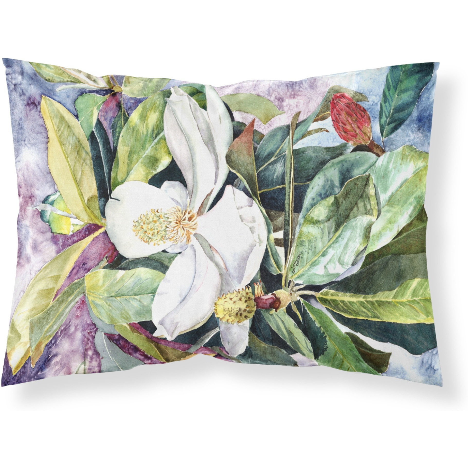 &quotCaroline's Treasures 8700PILLOWCASE Magnolia Fabric Standard Pillowcase, Large, Multicolor"