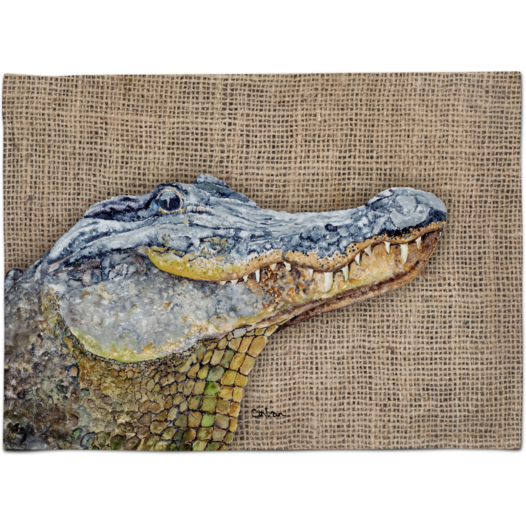 &quotCaroline's Treasures 8733PLMT Alligator Fabric Placemat, Multicolor"