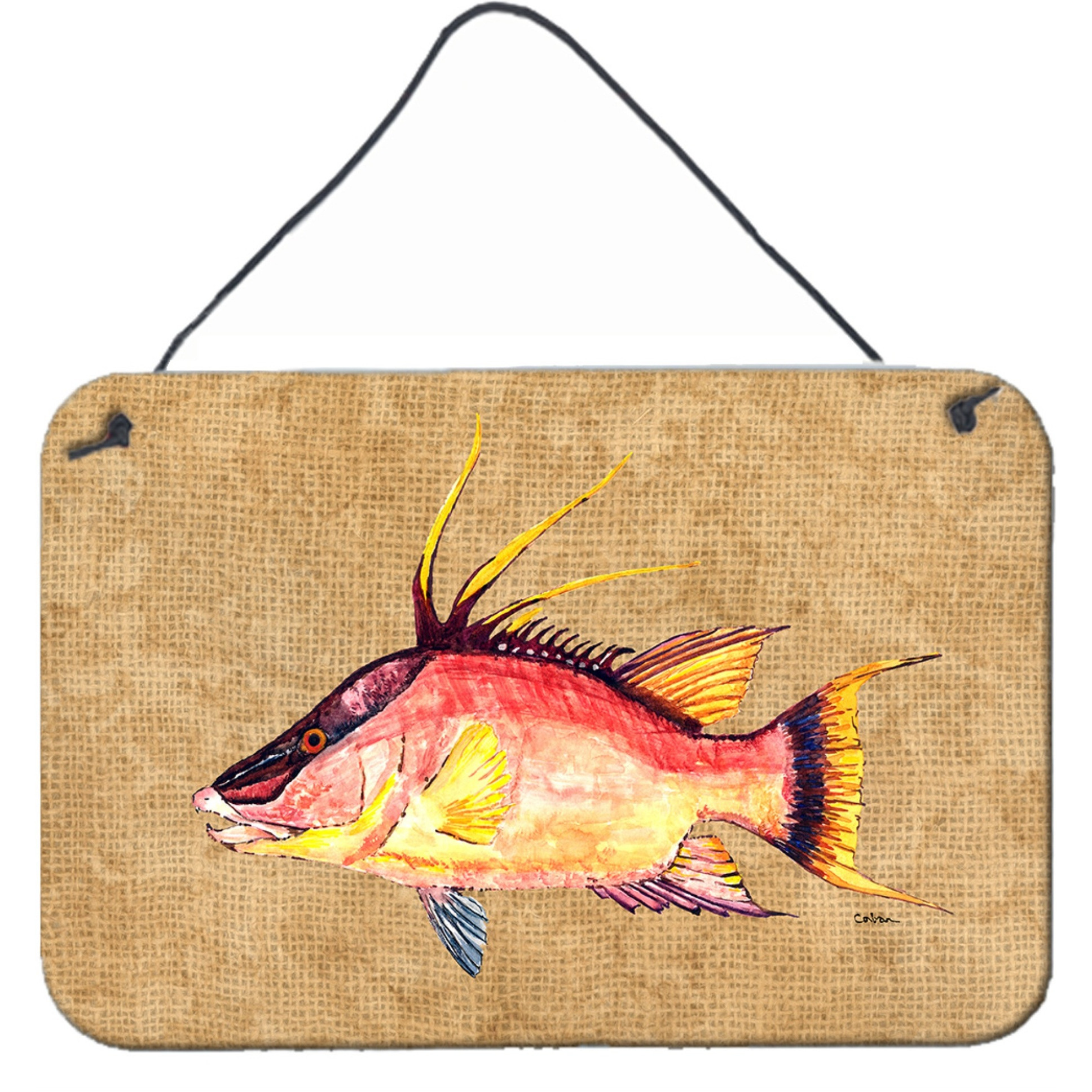 &quotCaroline's Treasures Hog Snapper Aluminum Metal Wall or Door Hanging Prints, 8 x 12"""