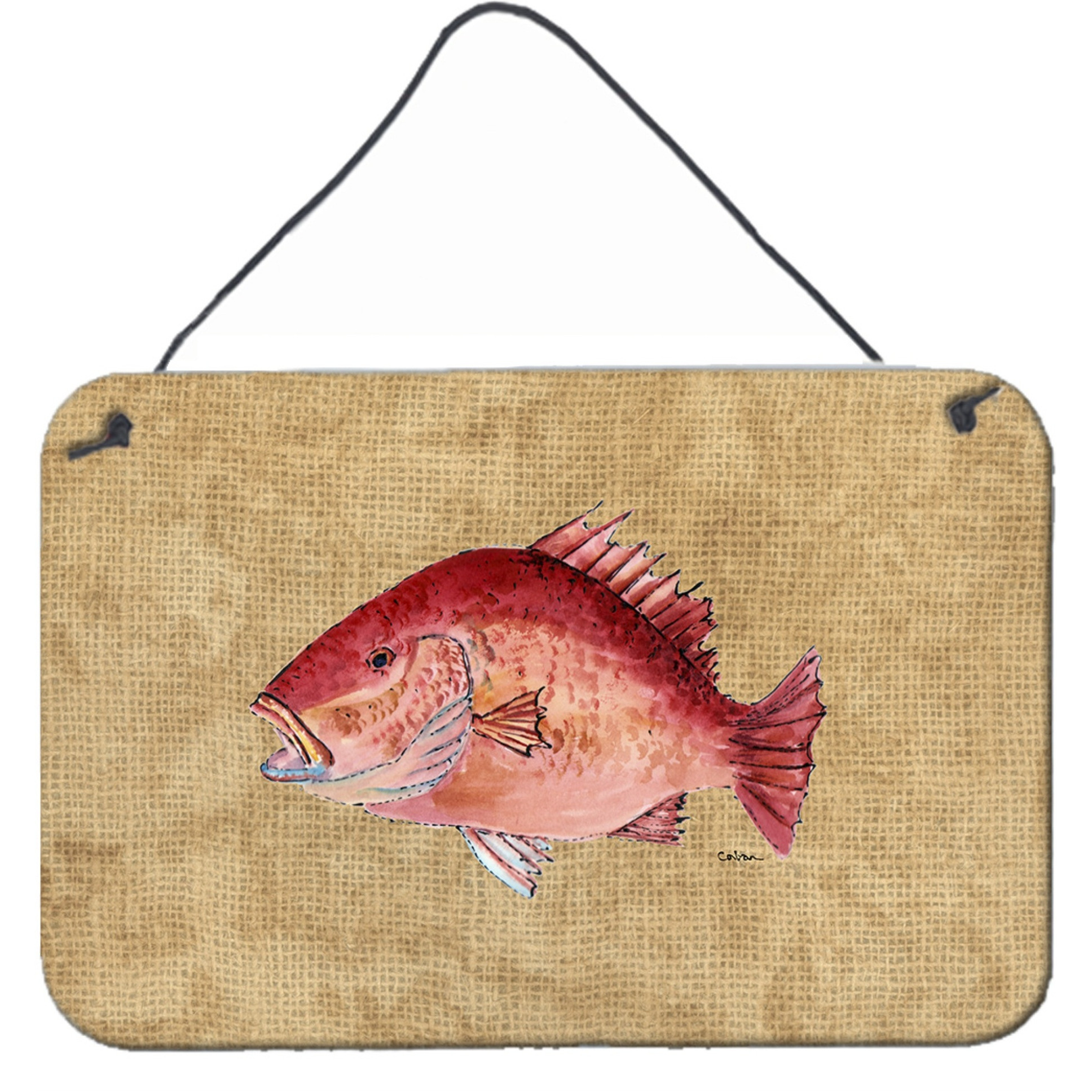 &quotCaroline's Treasures 8812DS812 Strawberry Snapper Aluminum Metal Wall or Door Hanging Prints, 8 x 12"""