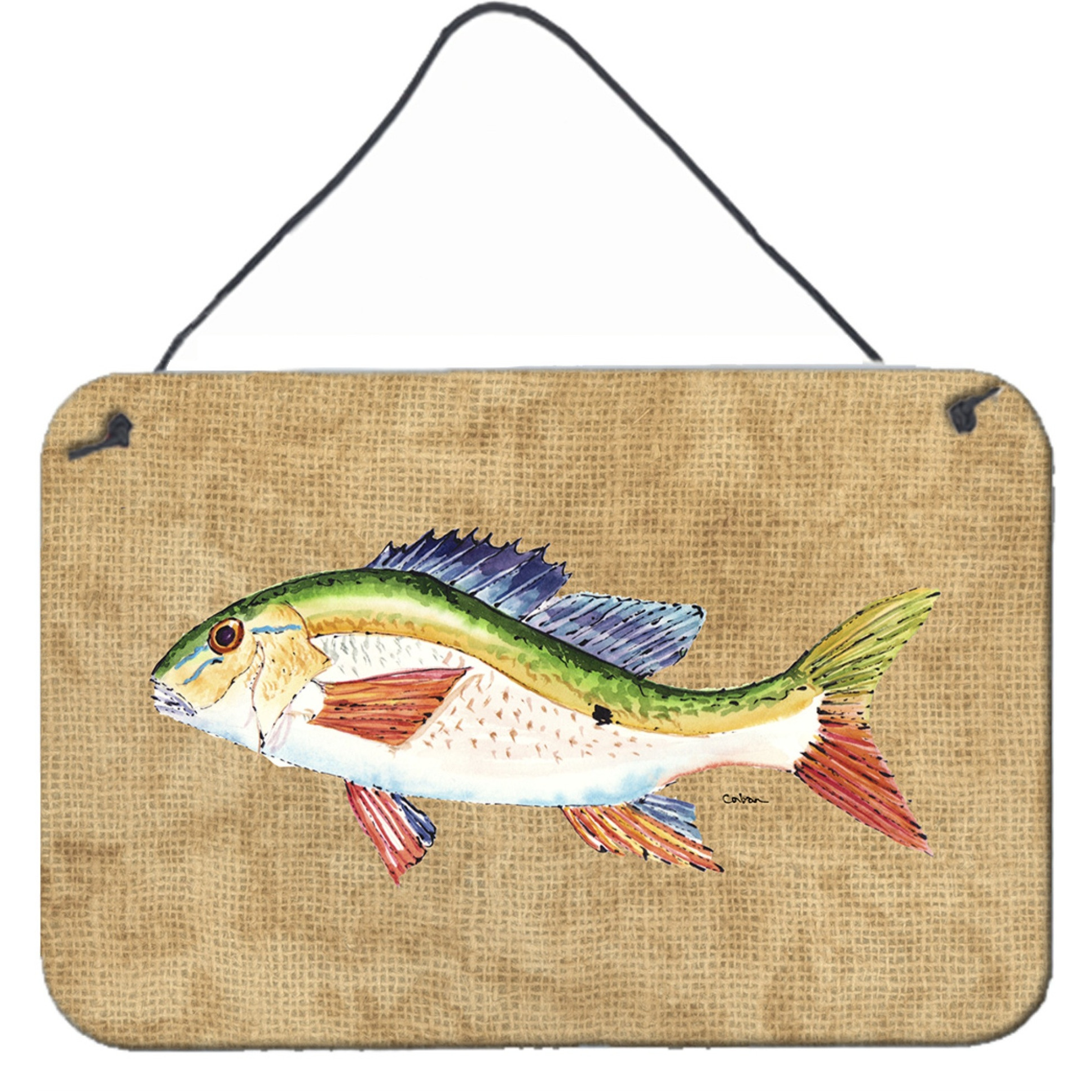 &quotCaroline's Treasures Rainbow Trout Aluminum Metal Wall or Door Hanging Prints, 8 x 12"""