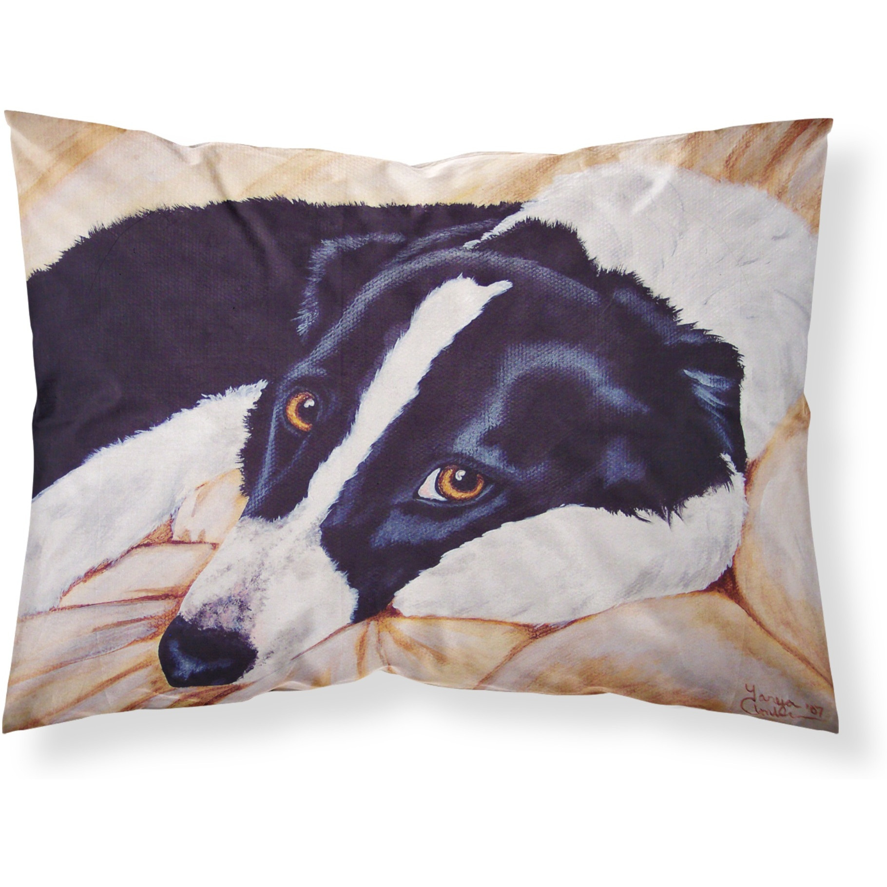 &quotCaroline's Treasures Naptime Border Collie Fabric Standard Pillowcase AMB1080PILLOWCASE, Multicolor"