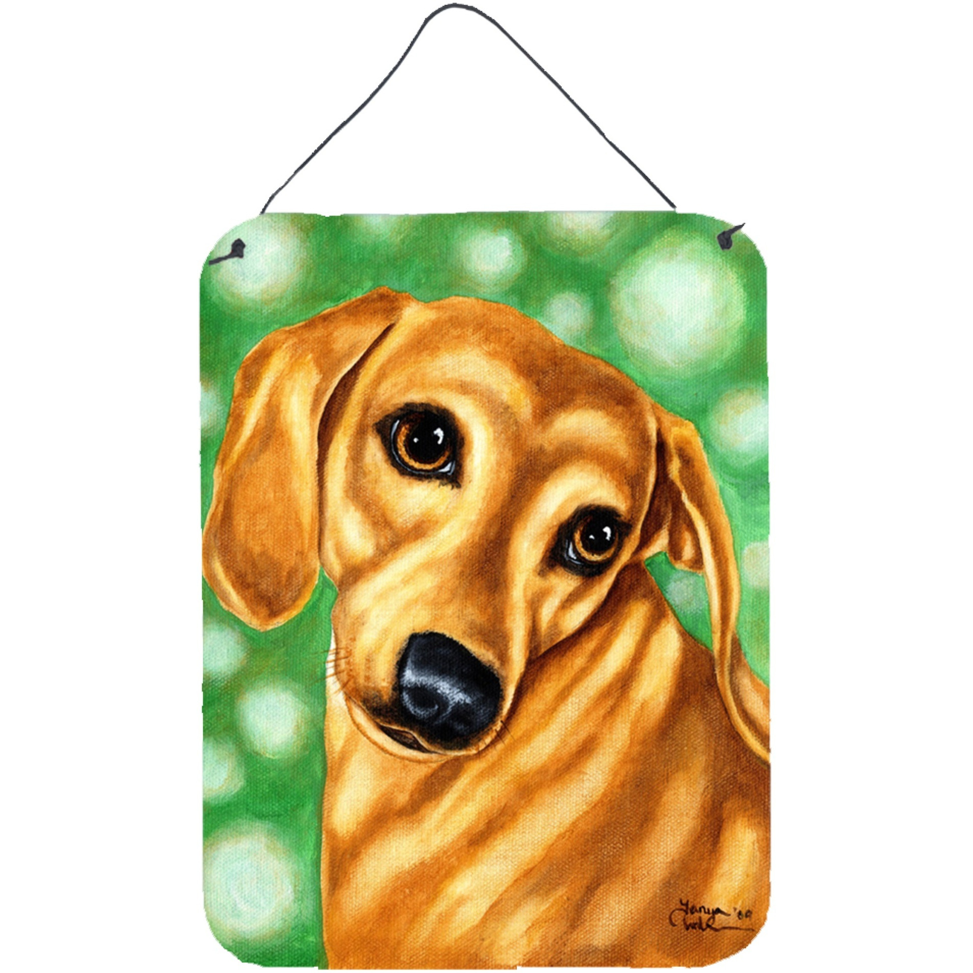&quotCaroline's Treasures The Eyes Have It Dachshund Wall or Door Hanging Prints AMB1414DS1216, 16HX12W, Multicolor"