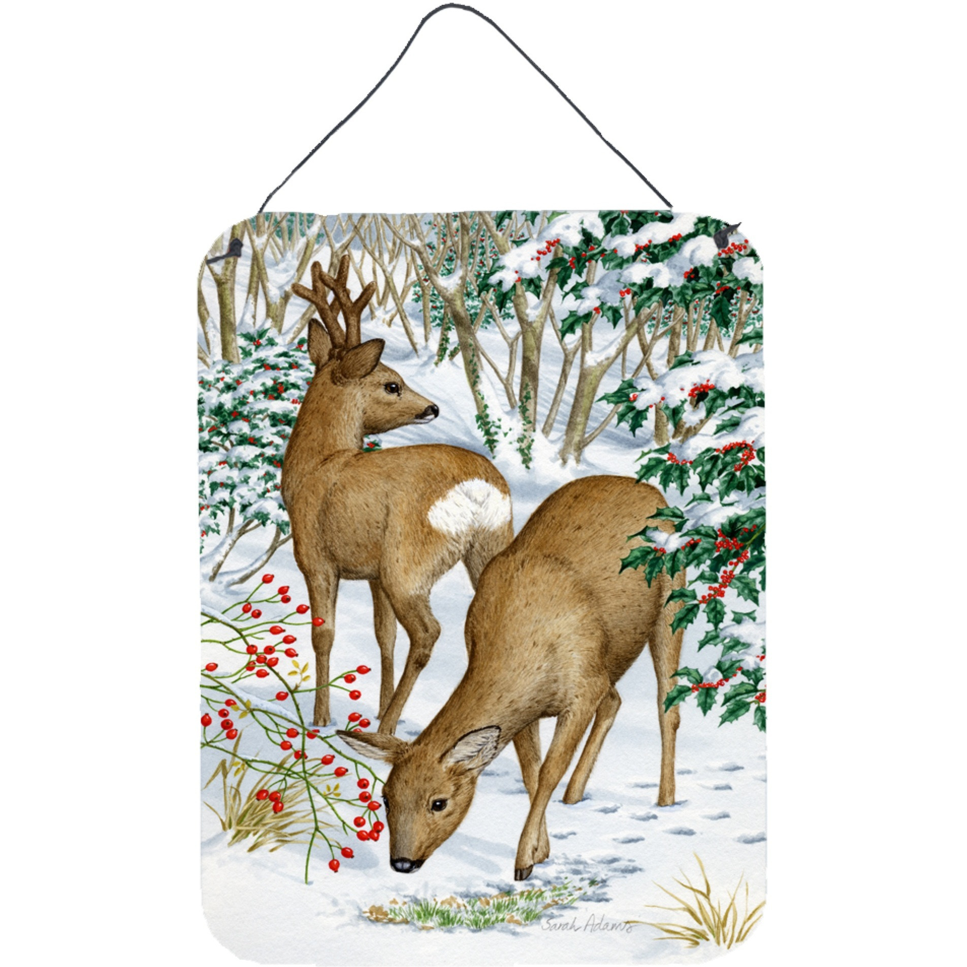 &quotCaroline's Treasures European Western Roe Deer Wall or Door Hanging Prints ASA2004DS1216, 16HX12W, Multicolor"