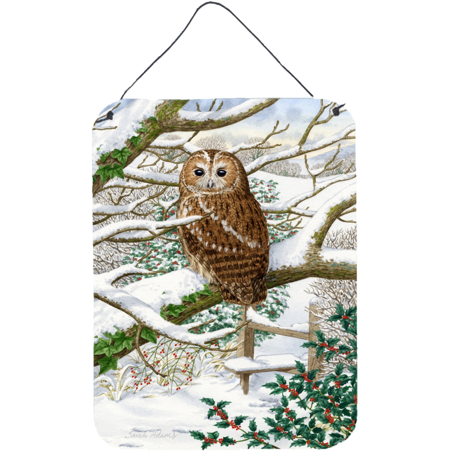 &quotCaroline's Treasures Tawny Owl Wall or Door Hanging Prints ASA2008DS1216, 16HX12W, Multicolor"