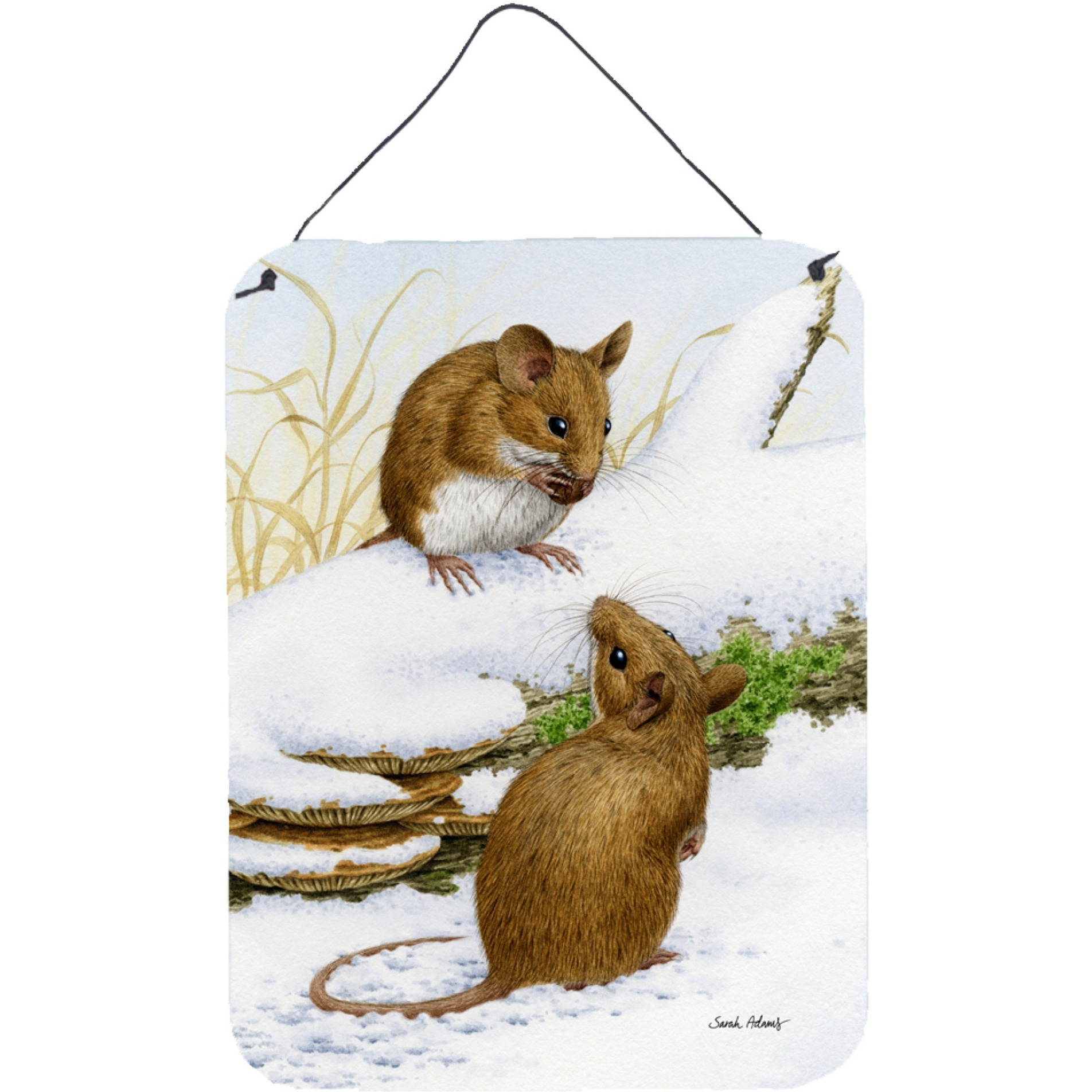 &quotCaroline's Treasures Mice Wood Mouse Wall or Door Hanging Prints ASA2027DS1216, 16HX12W, Multicolor"