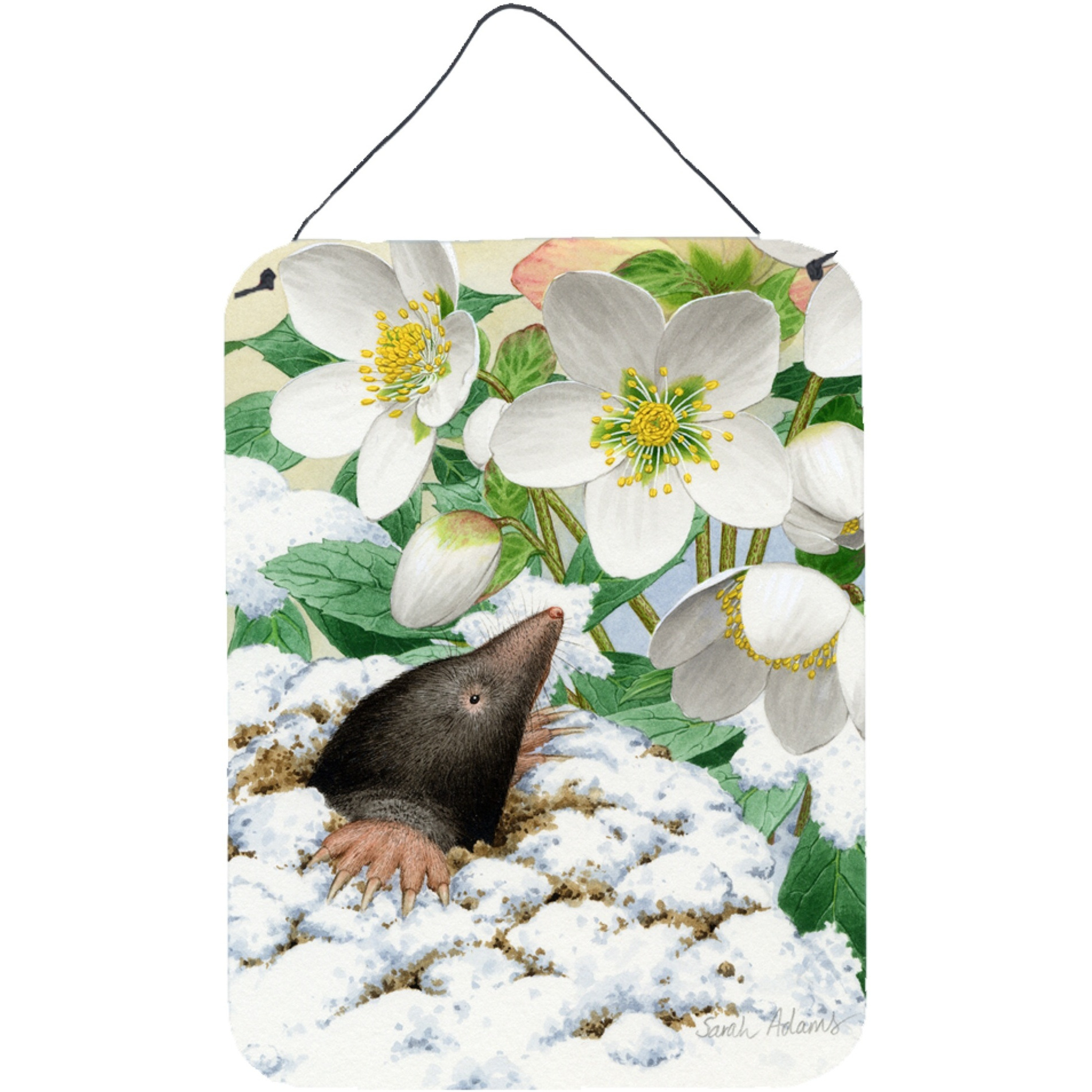 &quotCaroline's Treasures Mole Wall or Door Hanging Prints ASA2031DS1216, 16HX12W, Multicolor"