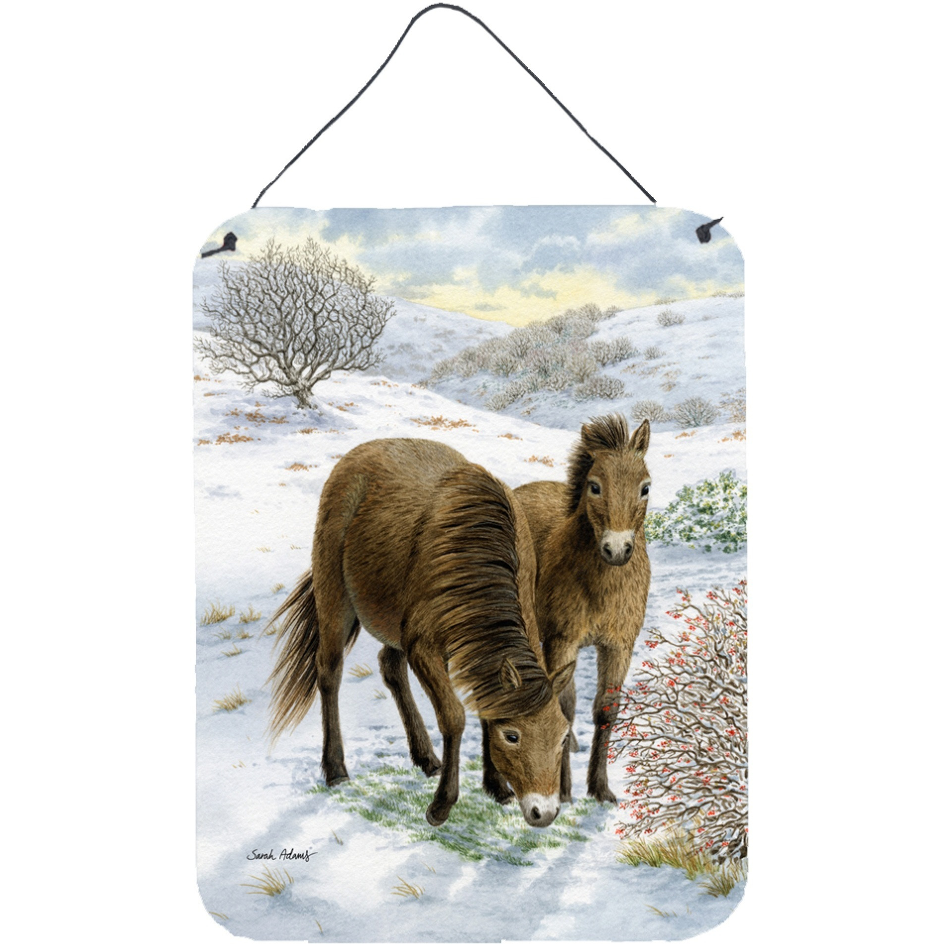 &quotCaroline's Treasures Exmoor Ponies Horse Wall or Door Hanging Prints ASA2032DS1216, 16HX12W, Multicolor"