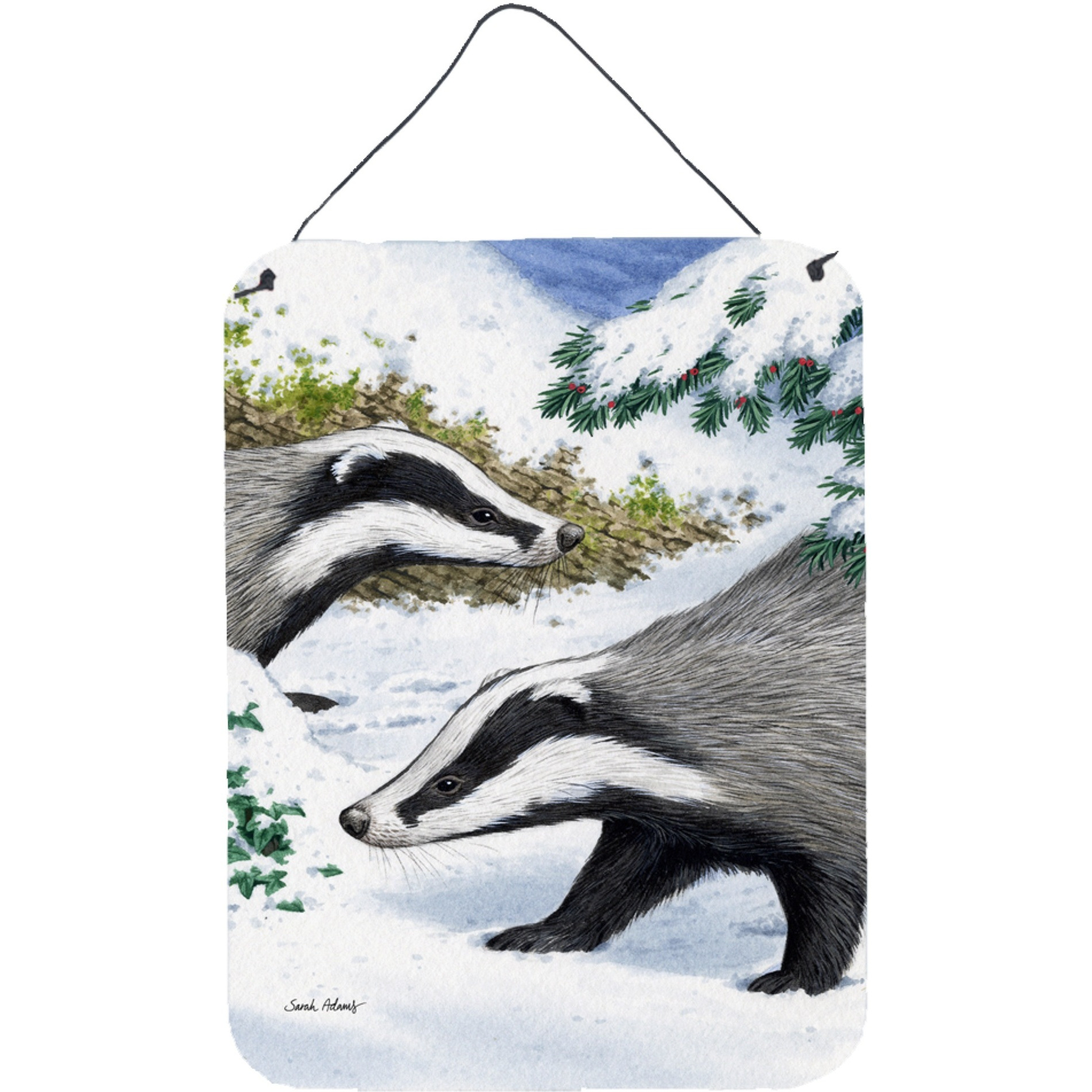 &quotCaroline's Treasures Badgers Look Here Wall or Door Hanging Prints ASA2040DS1216, 16HX12W, Multicolor"