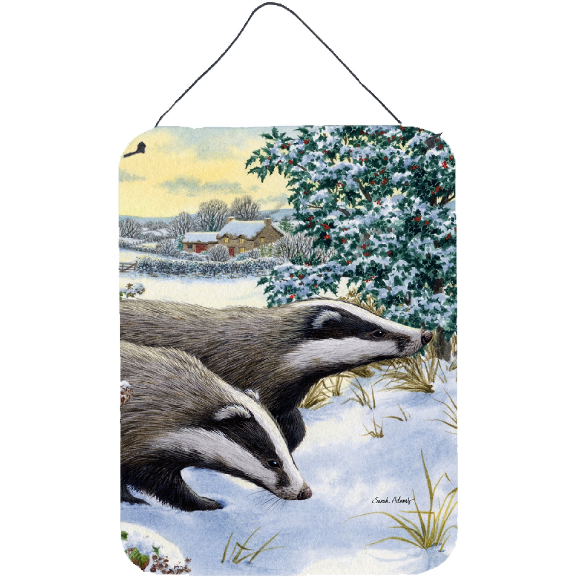 &quotCaroline's Treasures Badgers Two of a Kind Wall or Door Hanging Prints ASA2041DS1216, 16HX12W, Multicolor"