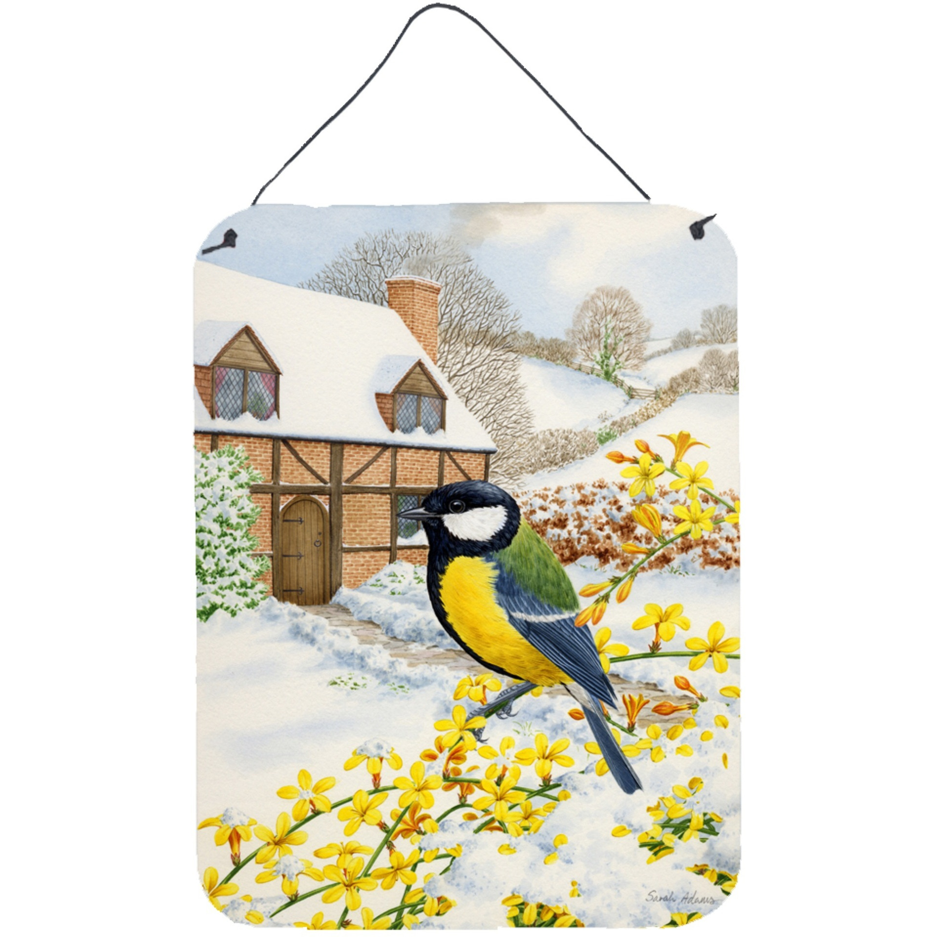 &quotCaroline's Treasures Tit Wall or Door Hanging Prints ASA2052DS1216, 16HX12W, Multicolor"