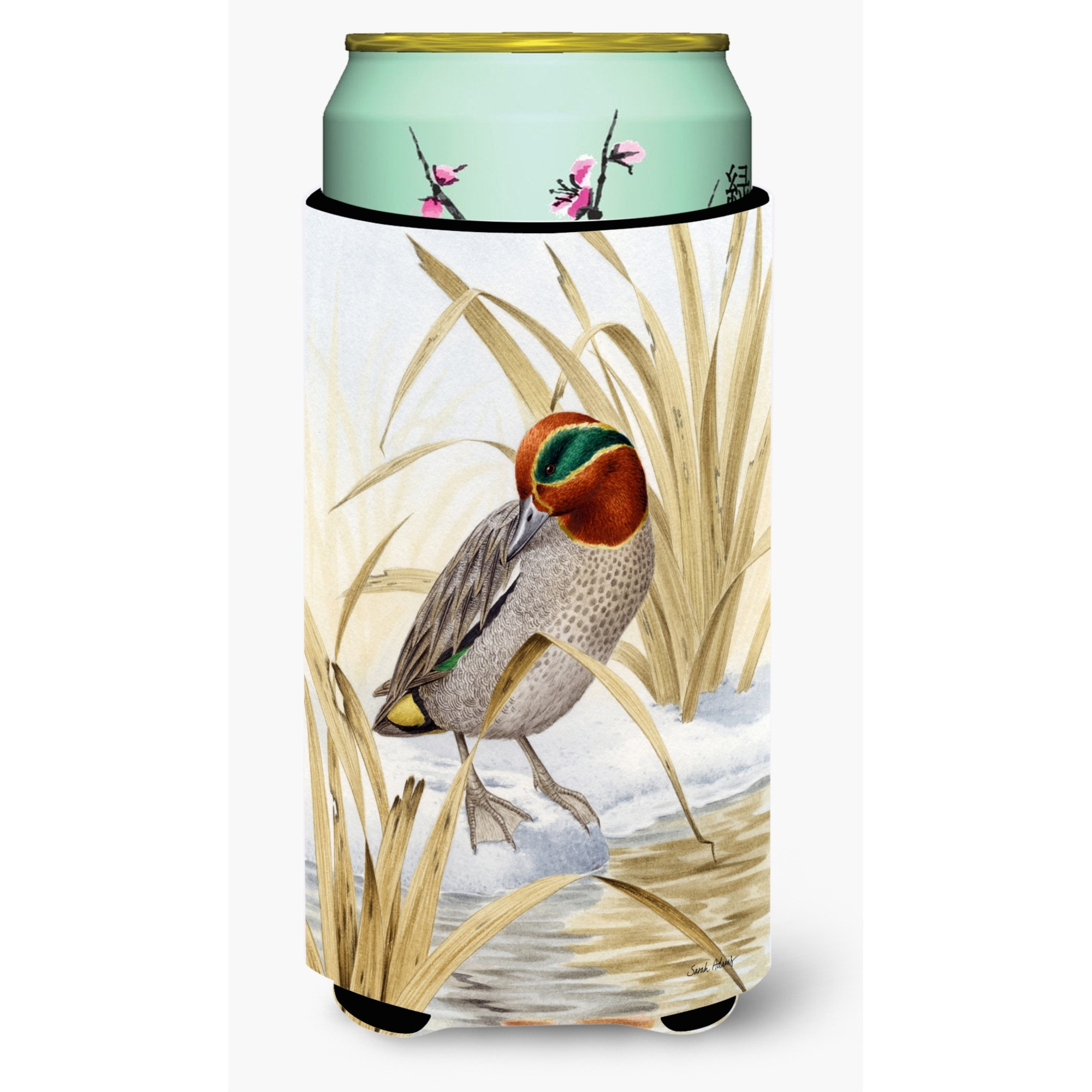 &quotCaroline's Treasures Eurasian Teal Duck Tall Boy Koozie Hugger, Multicolor"