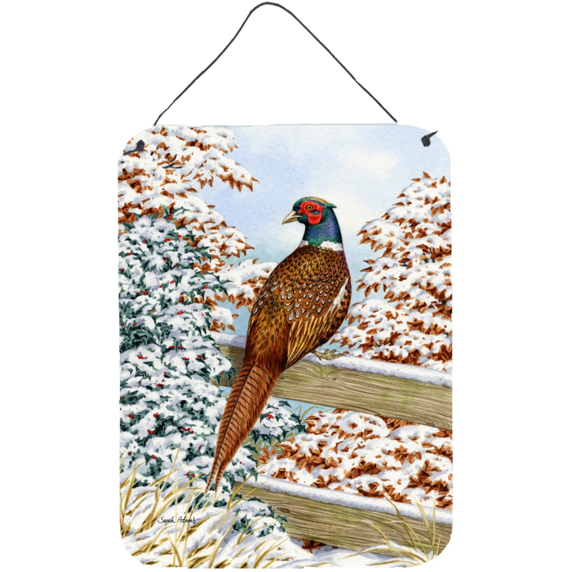 &quotCaroline's Treasures Pheasant Wall or Door Hanging Prints ASA2062DS1216, 16HX12W, Multicolor"
