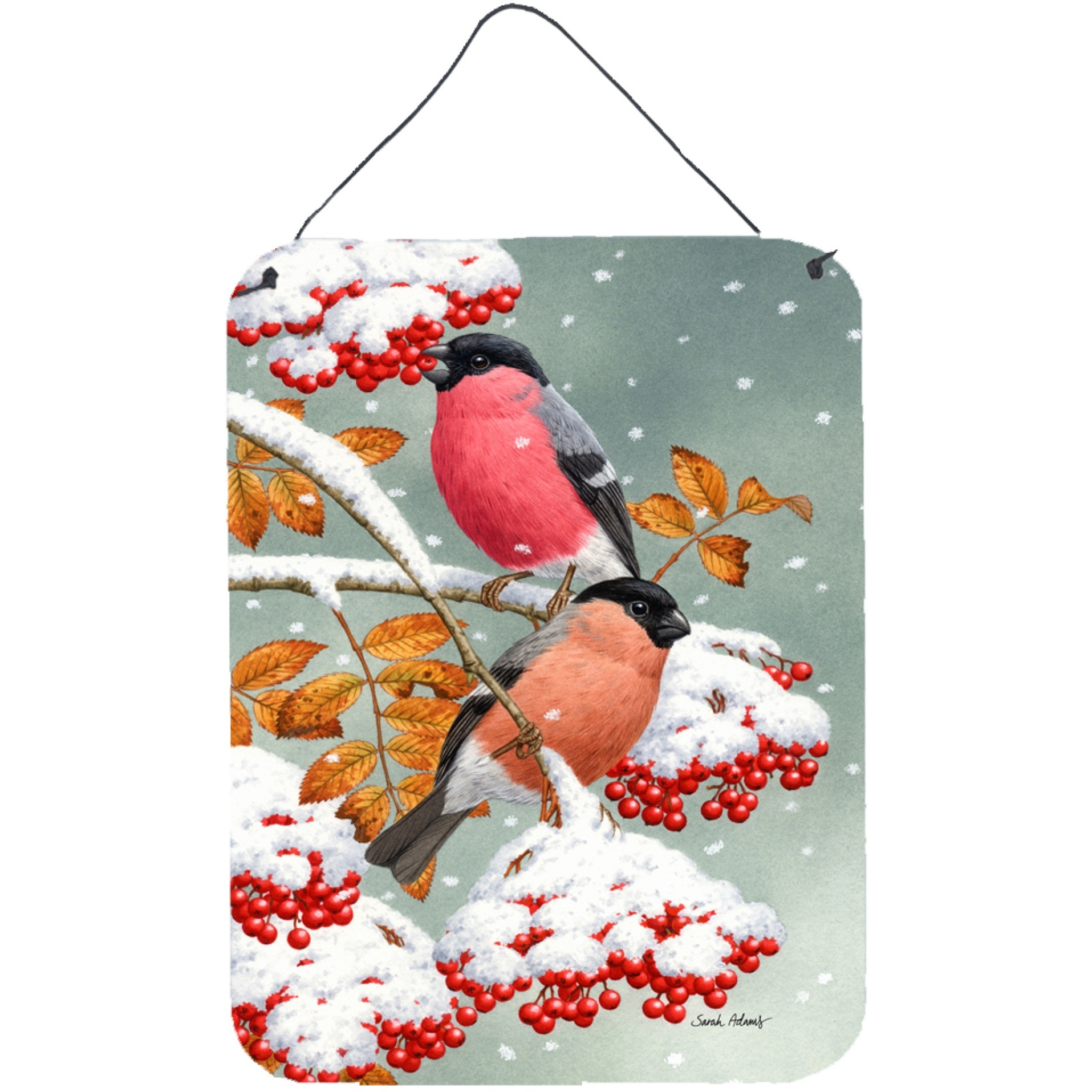 &quotCaroline's Treasures Eurasian Bullfinches Wall or Door Hanging Prints ASA2063DS1216, 16HX12W, Multicolor"