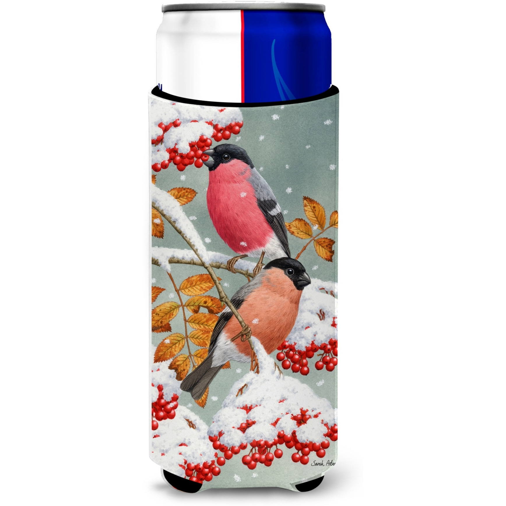 &quotCaroline's Treasures ASA2063MUK Eurasian Bullfinches Michelob Ultra Koozies for Slim Cans, Multicolor"