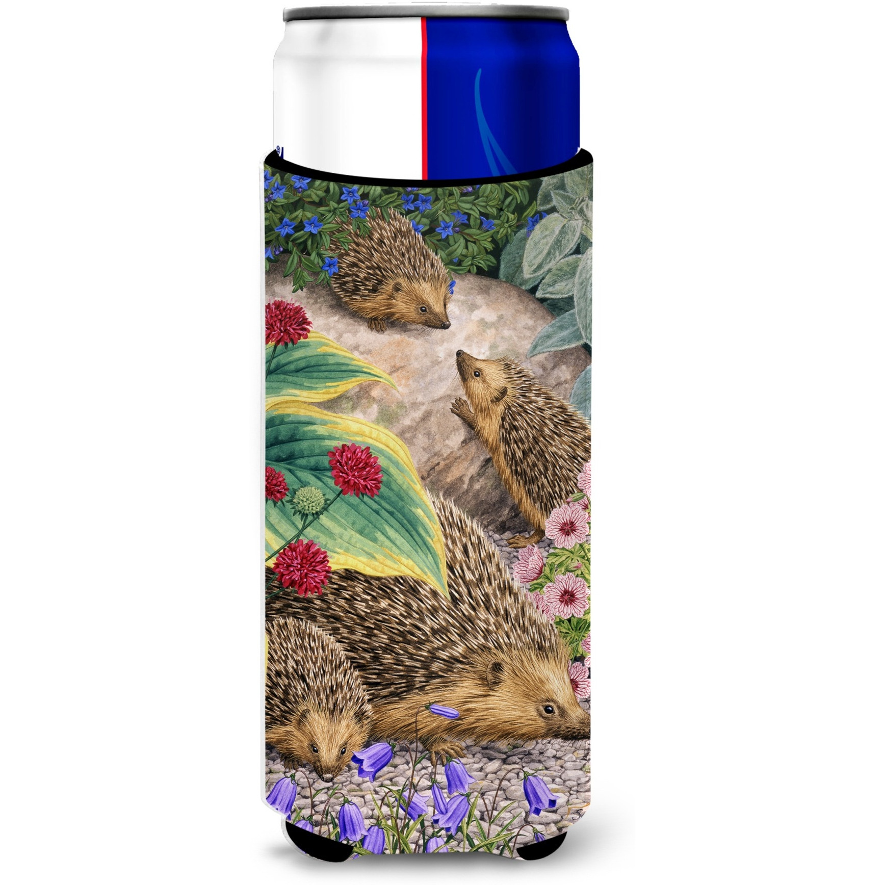 &quotCaroline's Treasures Hedgehogs Michelob Ultra Koozies for Slim Cans, Multicolor"