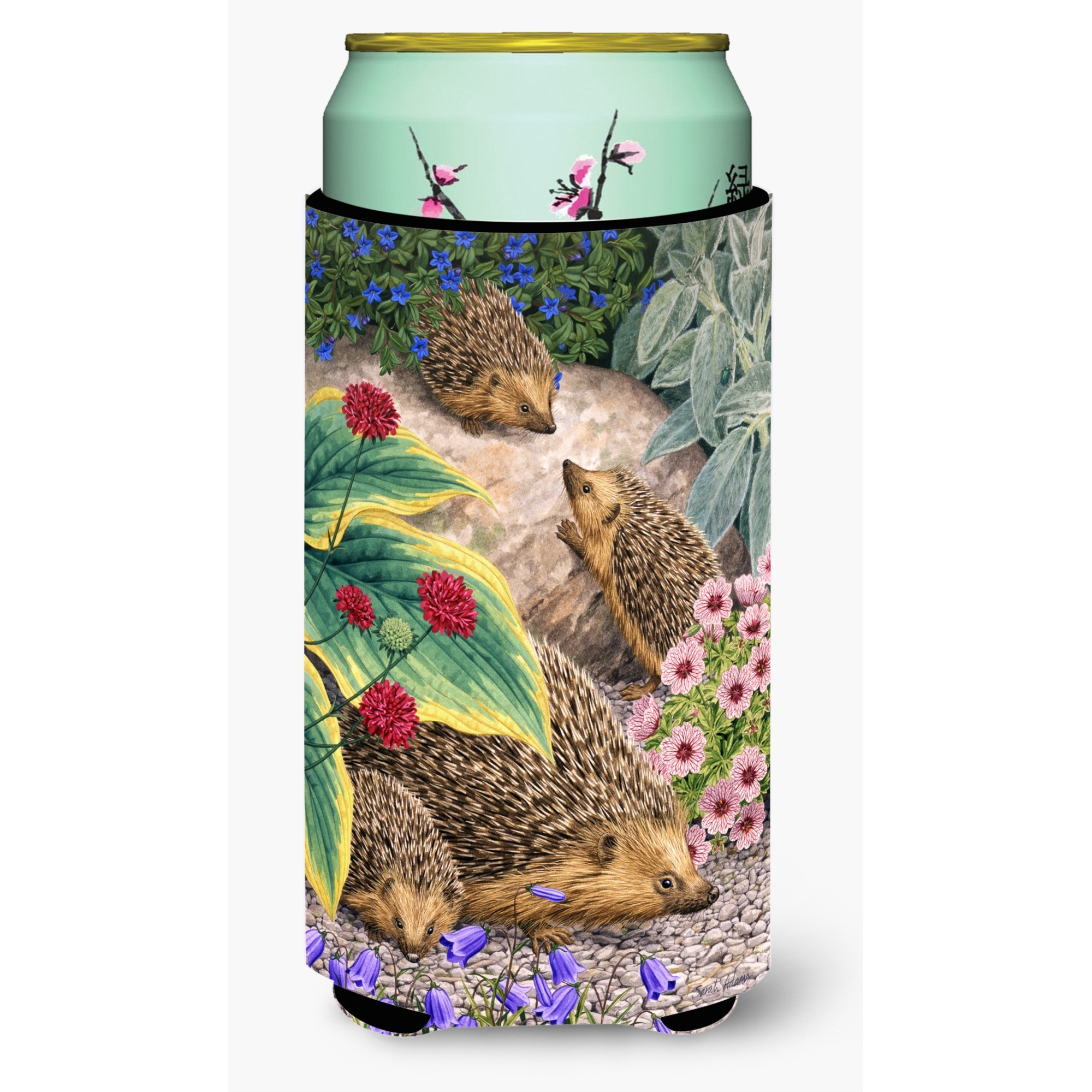 &quotCaroline's Treasures Hedgehogs Tall Boy Koozie Hugger, Multicolor"
