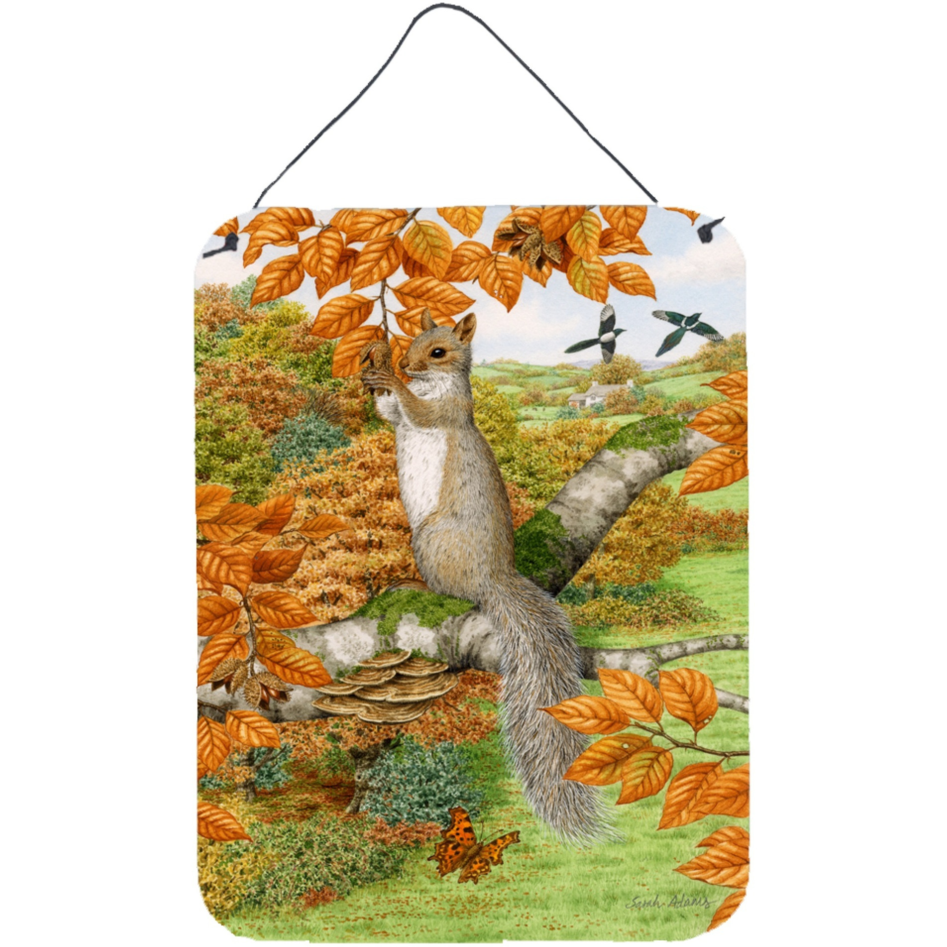 &quotCaroline's Treasures Grey Squirrel Wall or Door Hanging Prints ASA2074DS1216, 16HX12W, Multicolor"