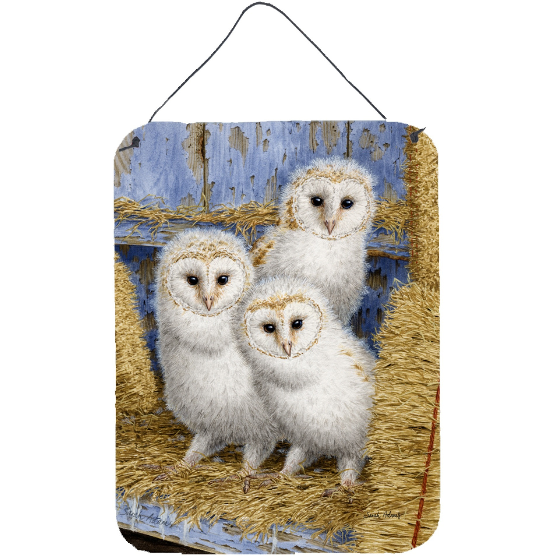 &quotCaroline's Treasures Barn Owl Chicks Wall or Door Hanging Prints ASA2076DS1216, 16HX12W, Multicolor"
