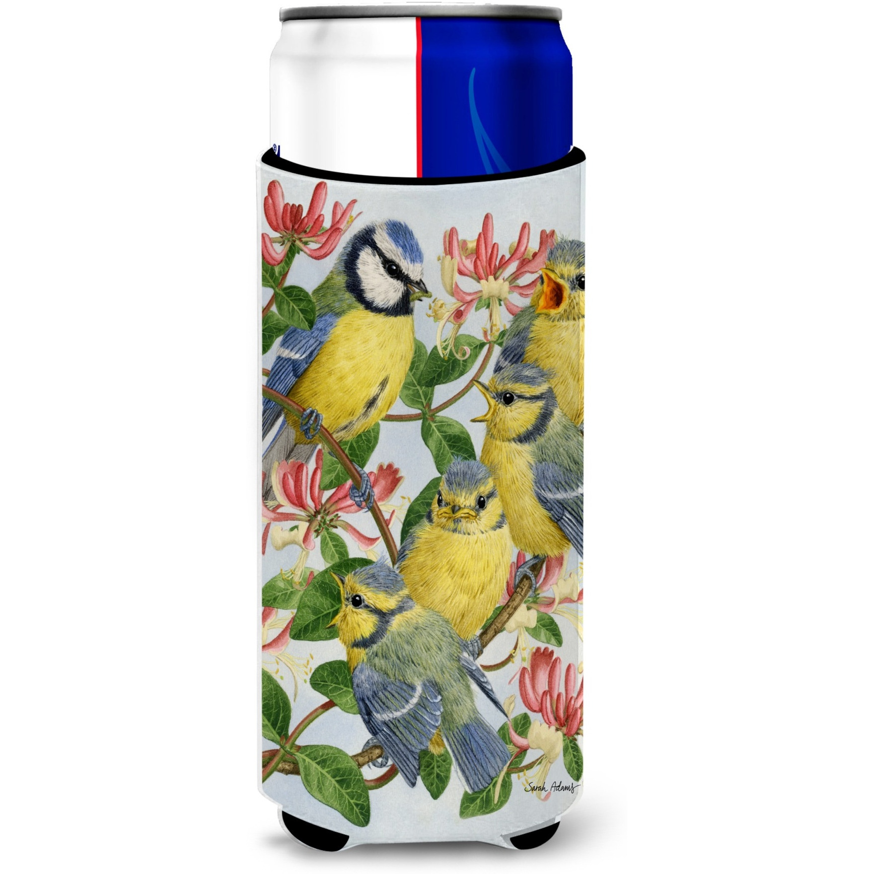 &quotCaroline's Treasures Eurasian Blue Tits At Feeding Time Michelob Ultra Koozies for Slim Cans, Multicolor"