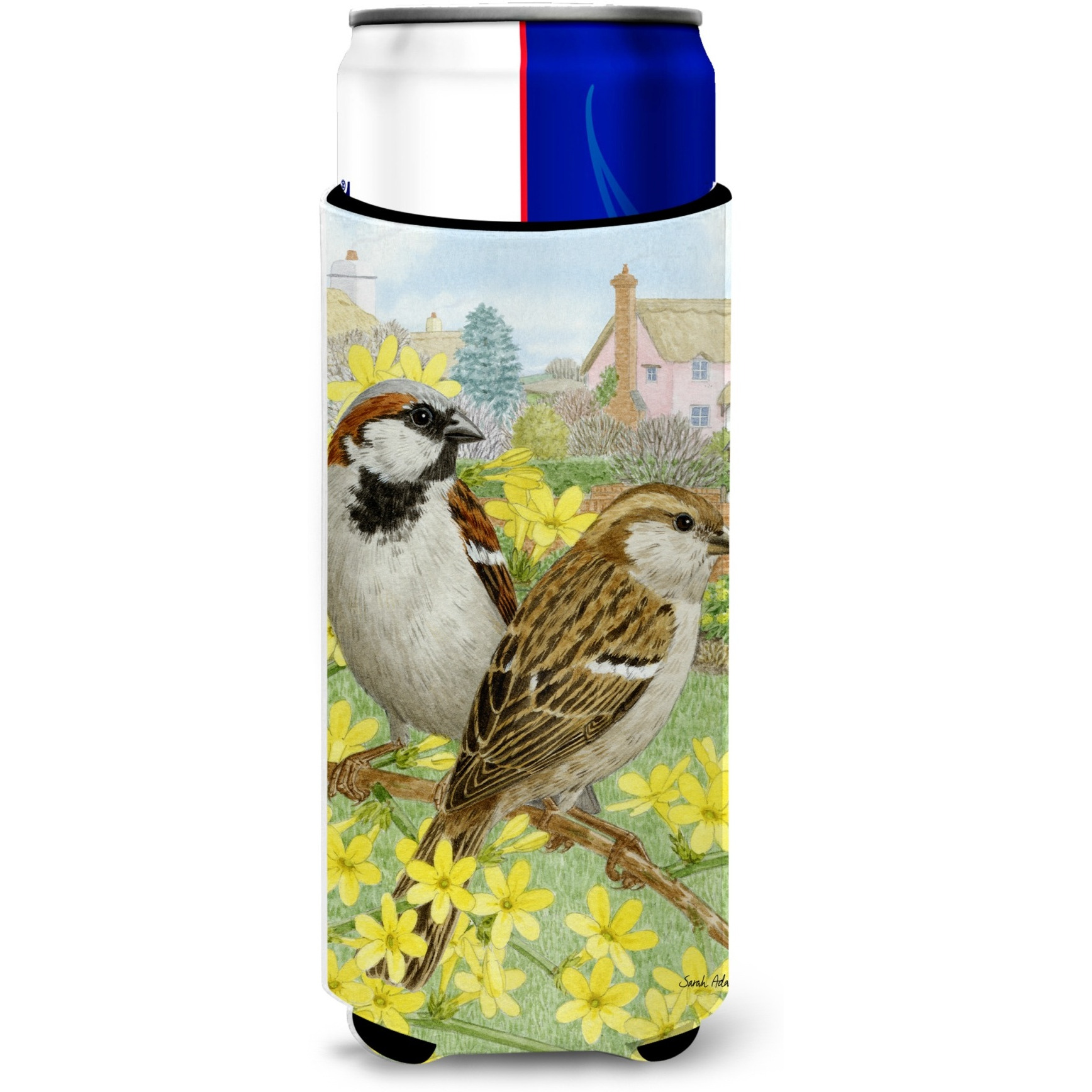 &quotCaroline's Treasures ASA2091MUK House Sparrows Michelob Ultra Koozies for Slim Cans, Multicolor"