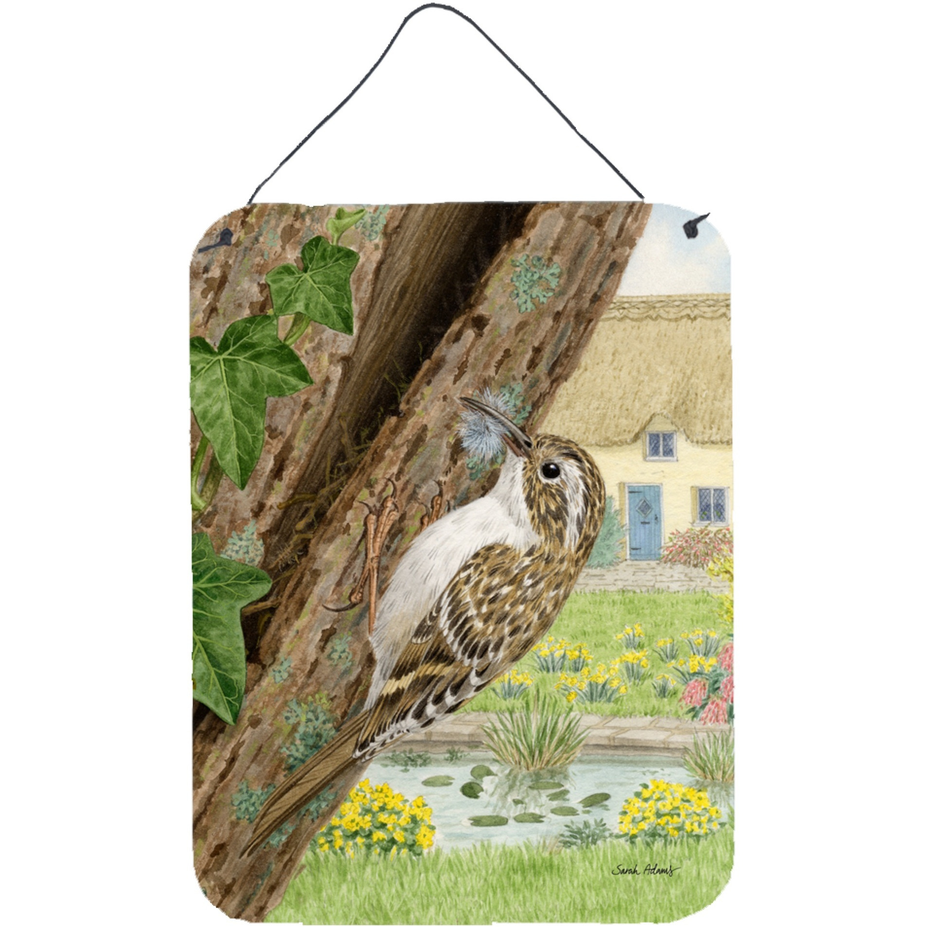 &quotCaroline's Treasures Treecreeper Wall or Door Hanging Prints ASA2094DS1216, 16HX12W, Multicolor"