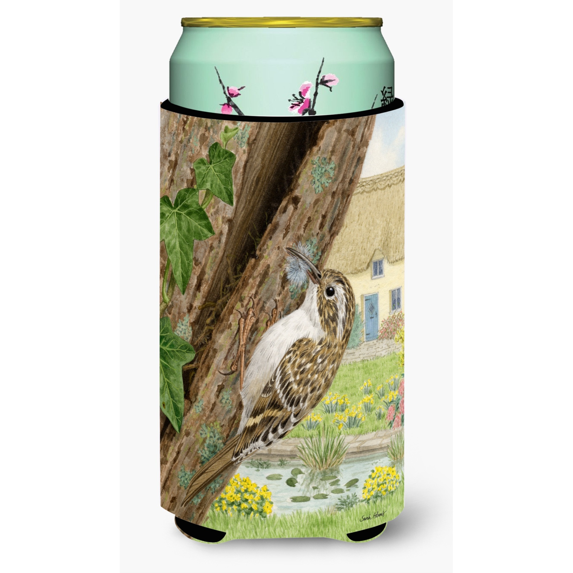 &quotCaroline's Treasures ASA2094TBC Treecreeper Tall Boy Koozie Hugger, Multicolor"